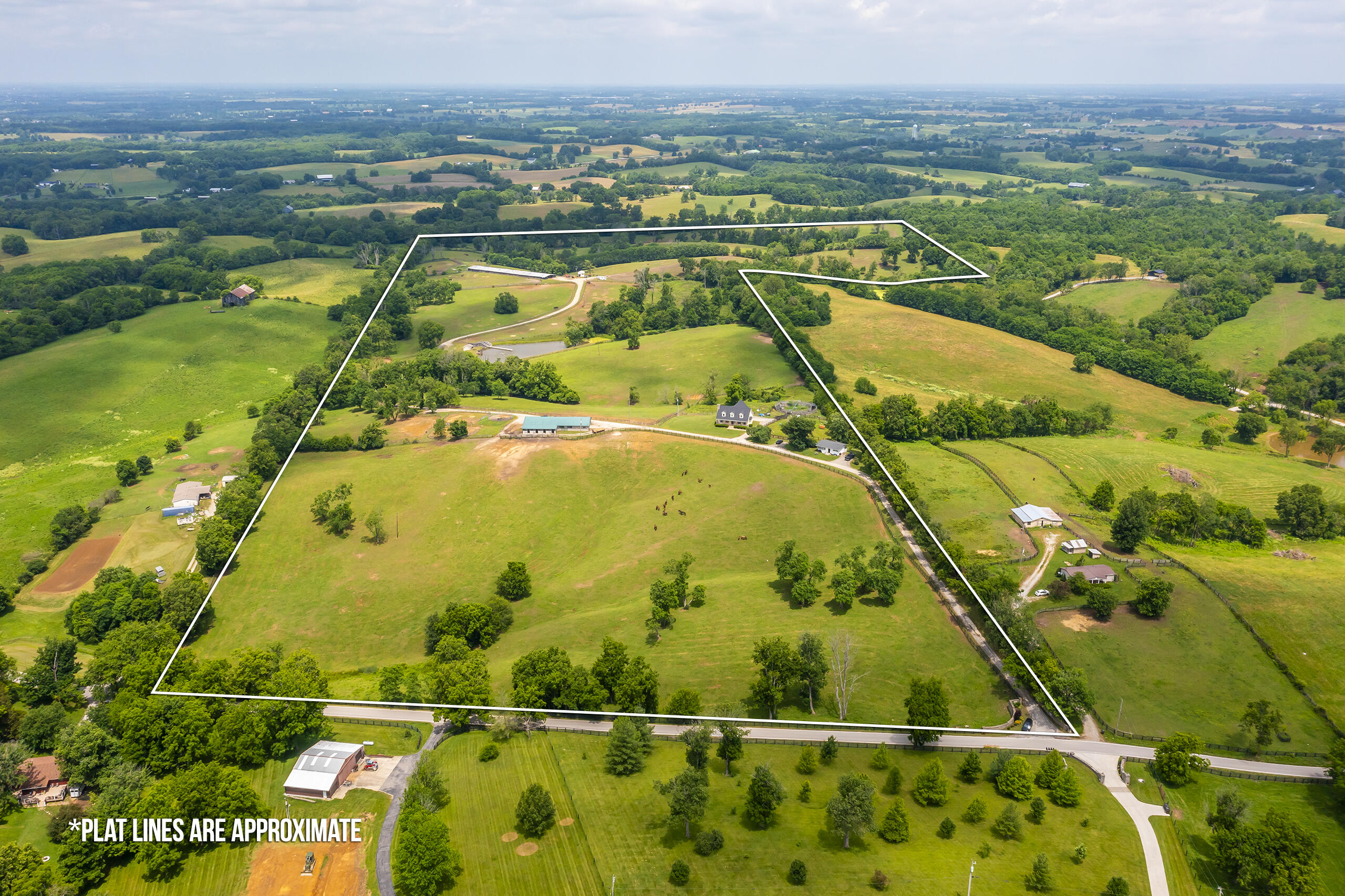 493 Levy Road Property Photo 2