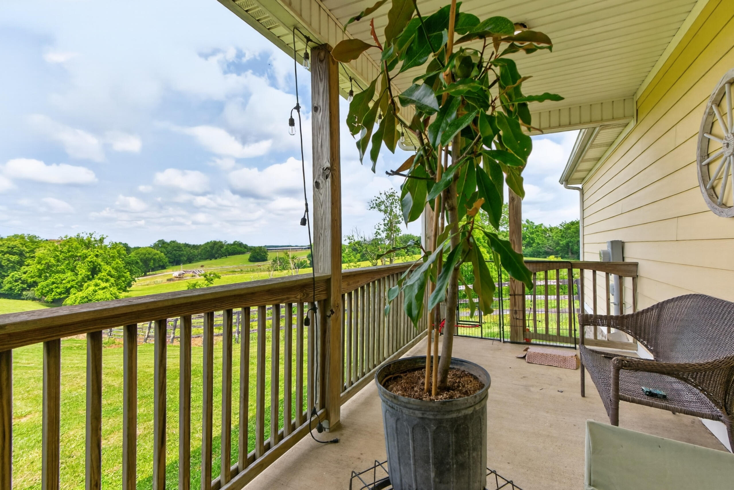 493 Levy Road Property Photo 17