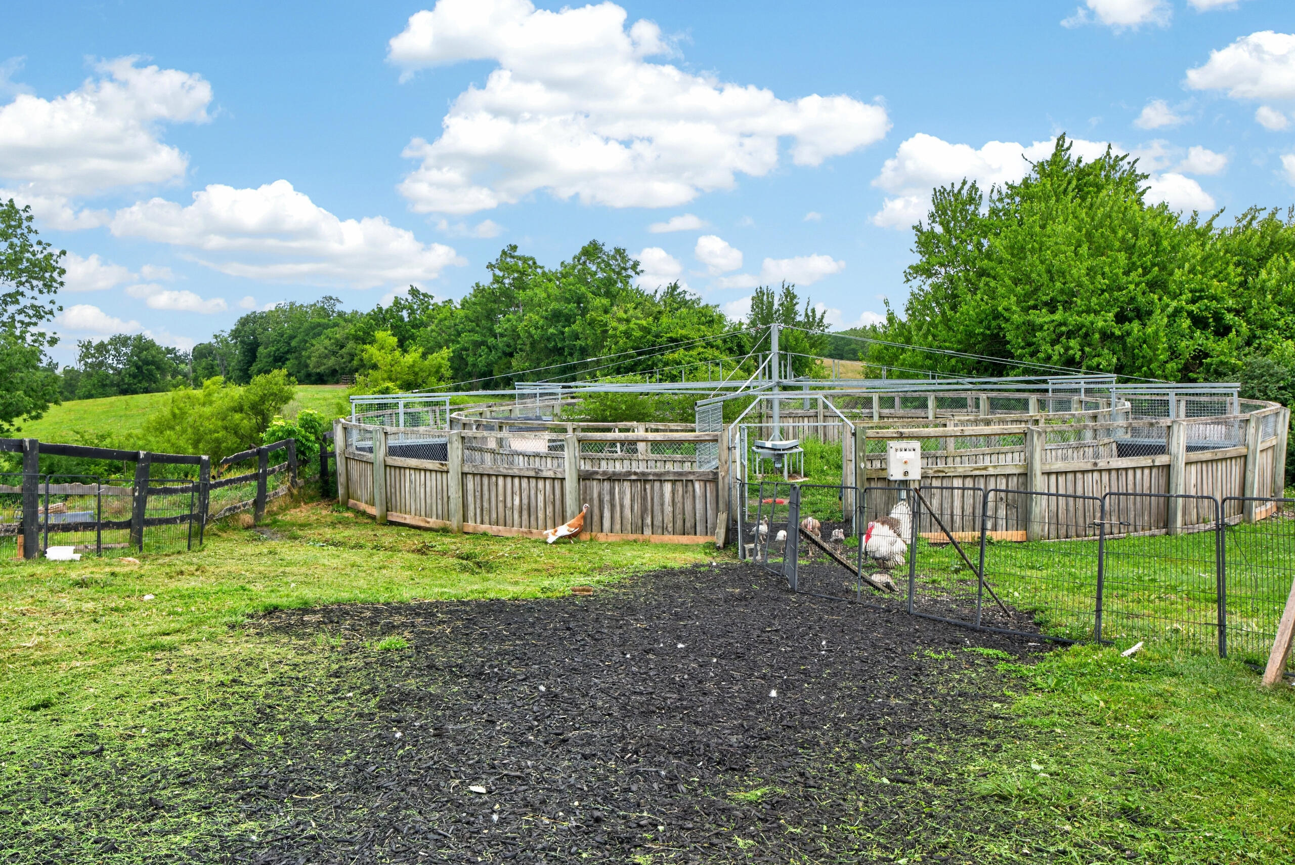 493 Levy Road Property Photo 19