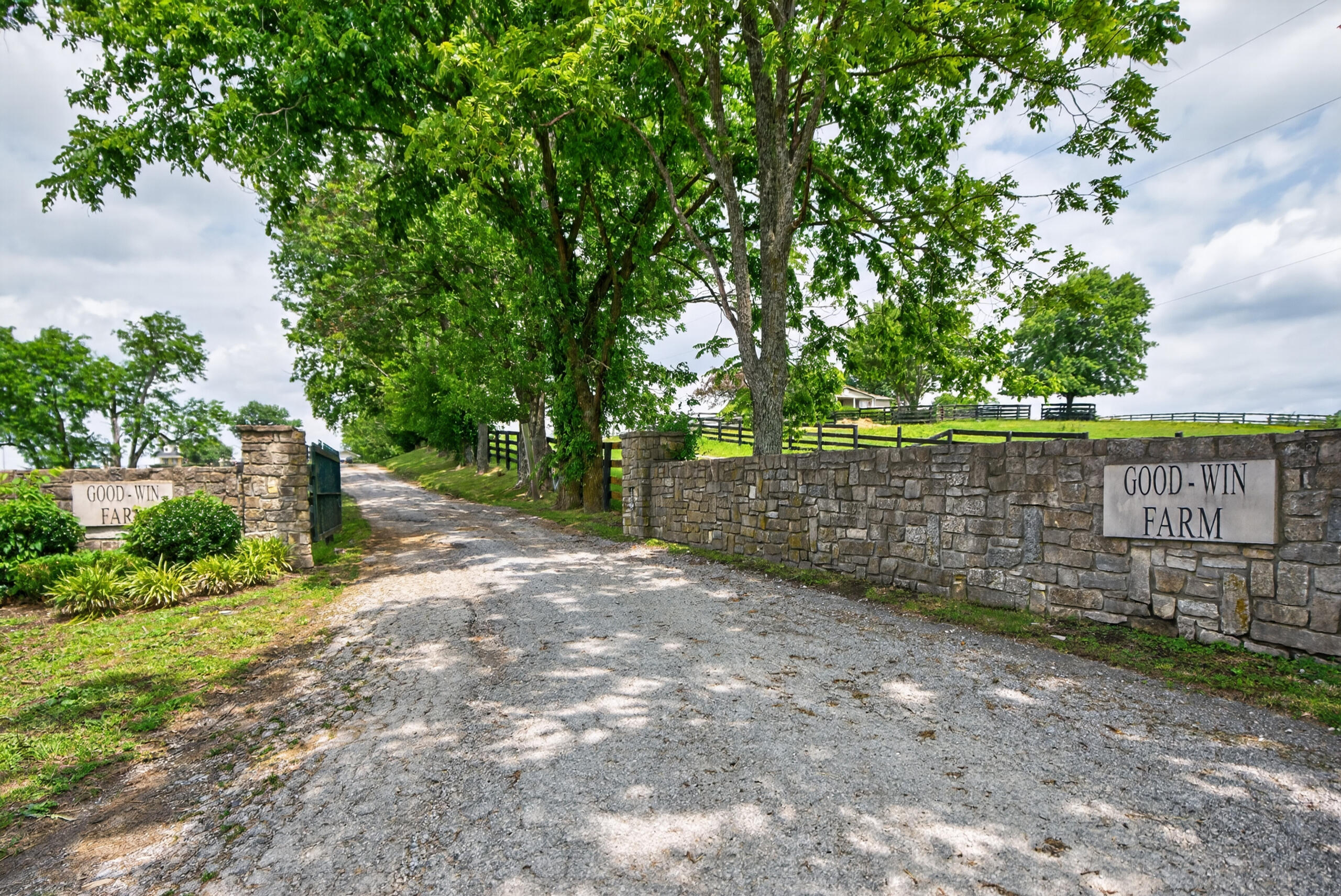 493 Levy Road Property Photo 39
