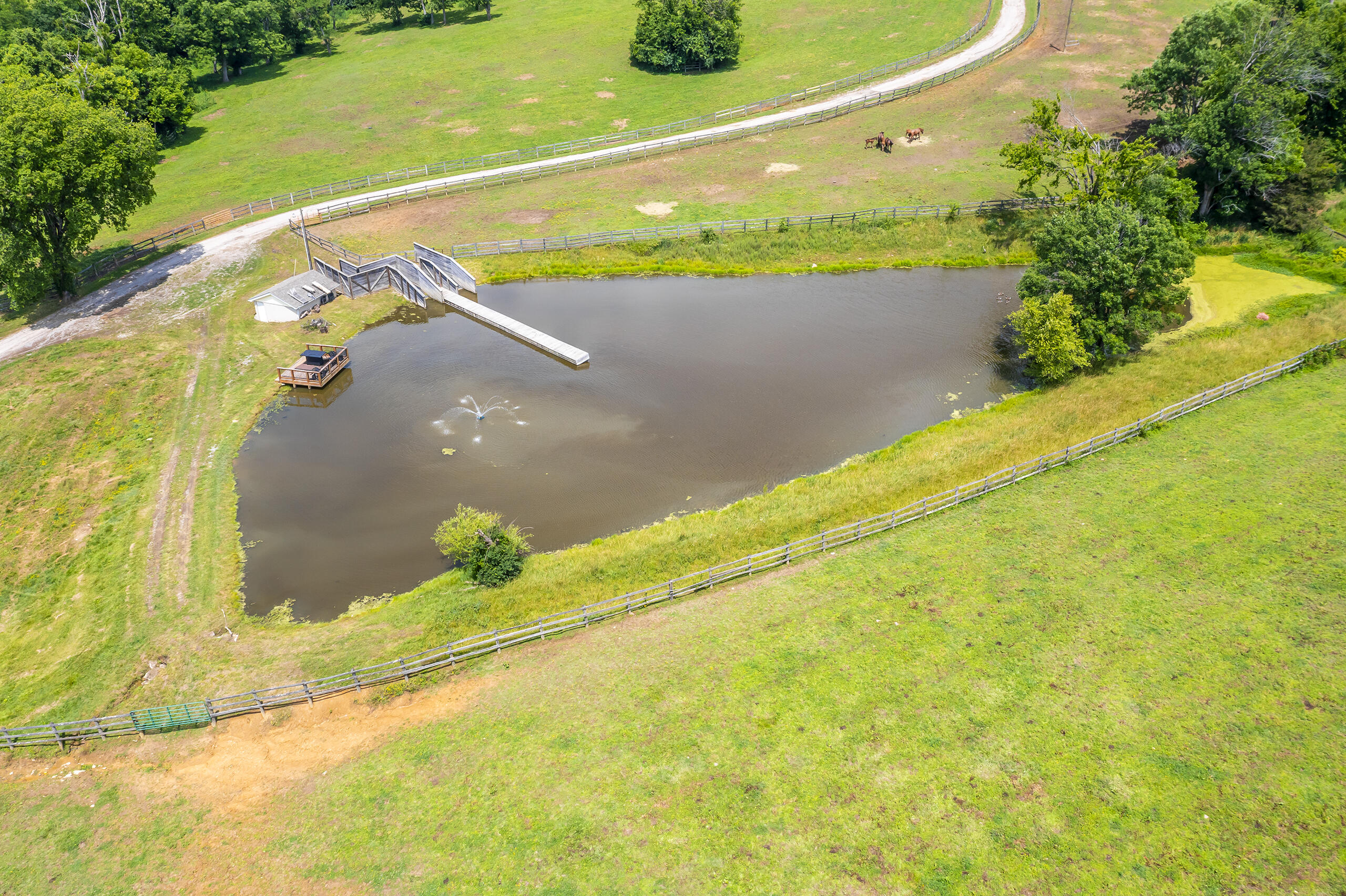 493 Levy Road Property Photo 41