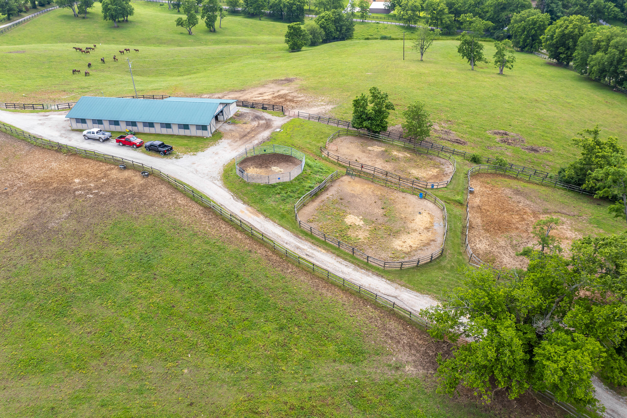 493 Levy Road Property Photo 46
