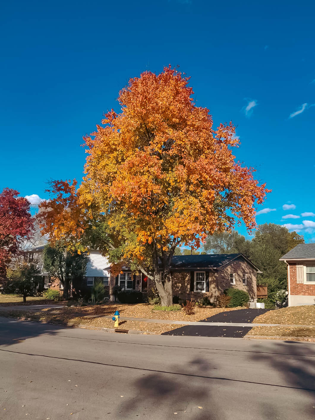 3516 Camelot Drive Property Photo 48