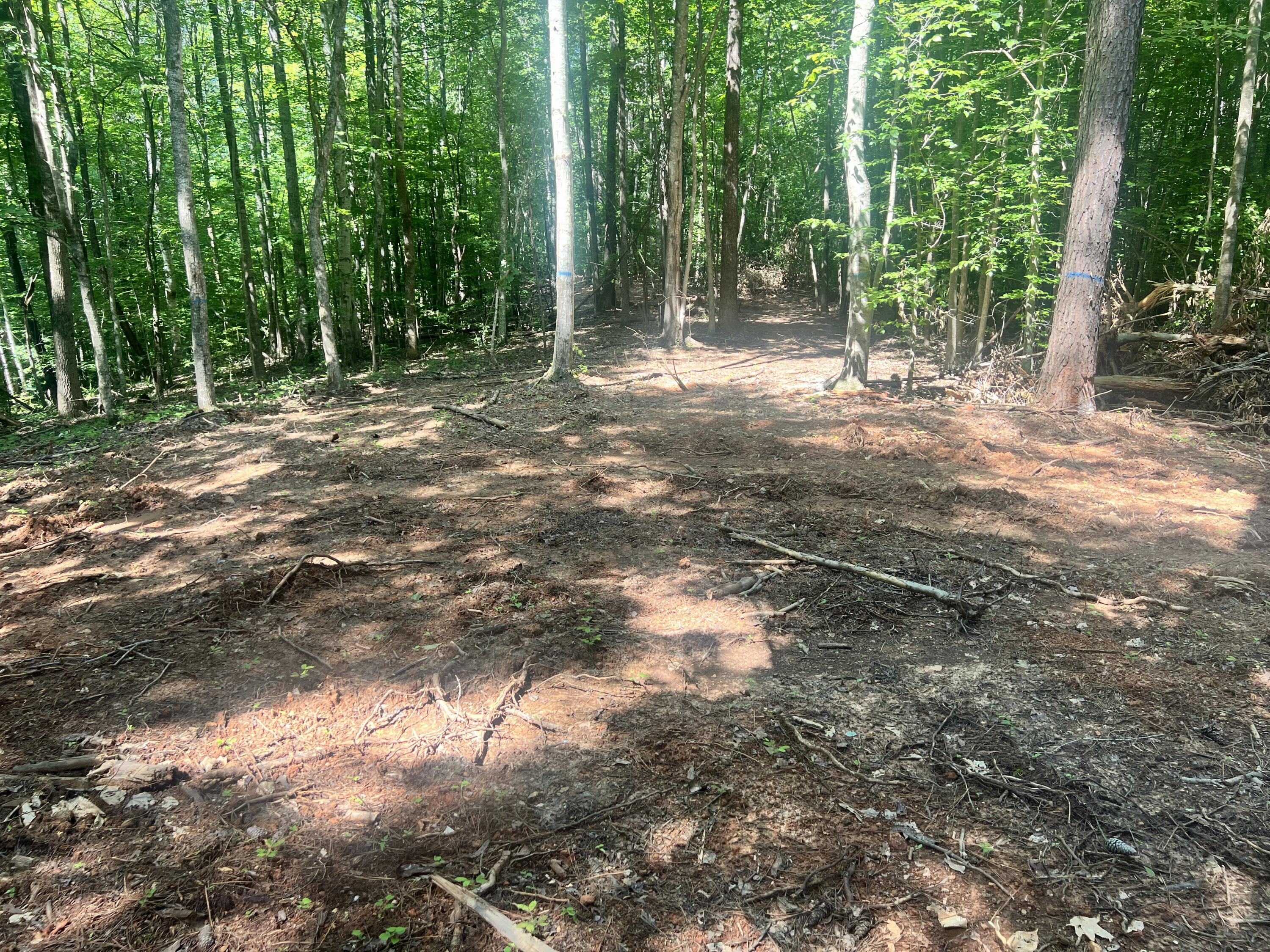 0000 State Highway 1546 Property Photo 3