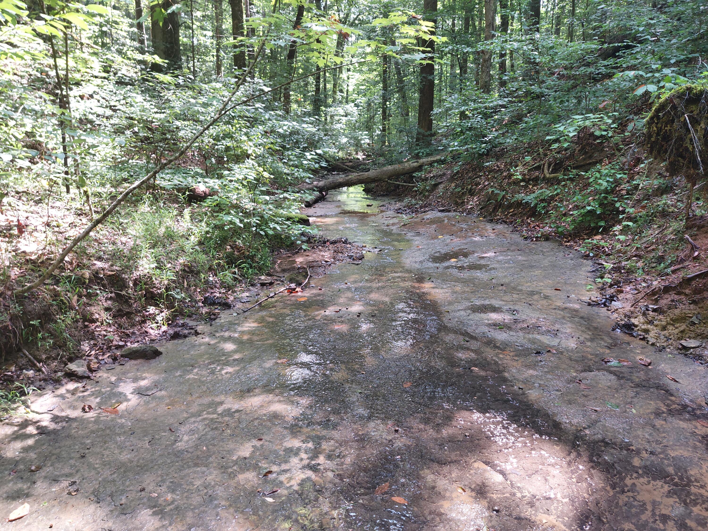 0000 State Highway 1546 Property Photo 9