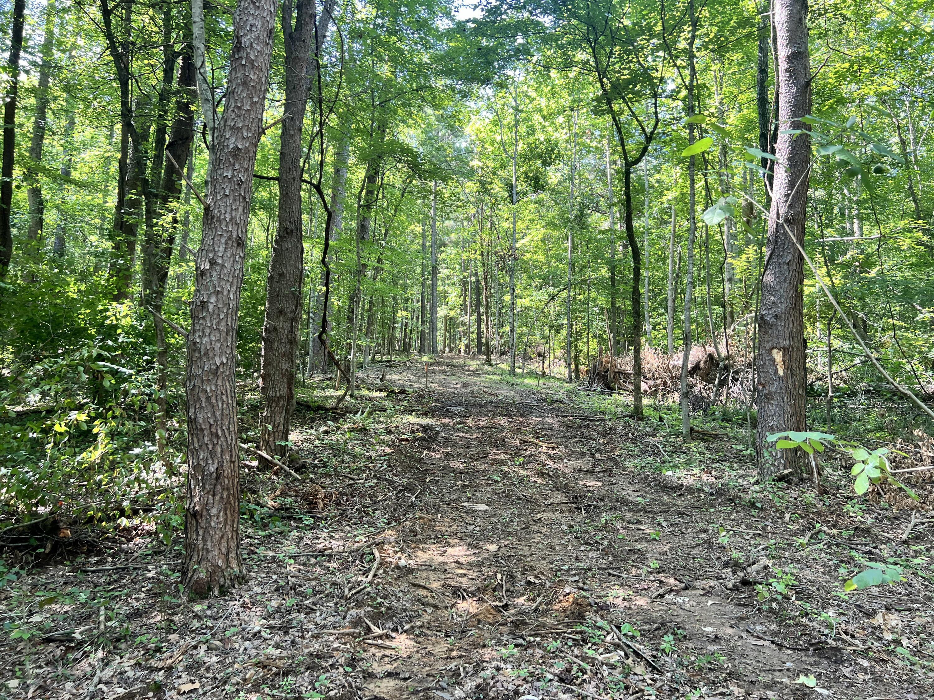 0000 State Highway 1546 Property Photo 10
