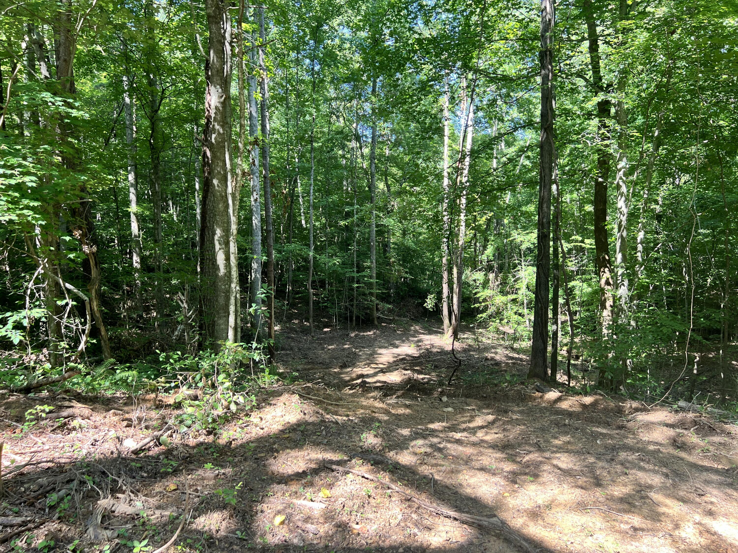 0000 State Highway 1546 Property Photo 12
