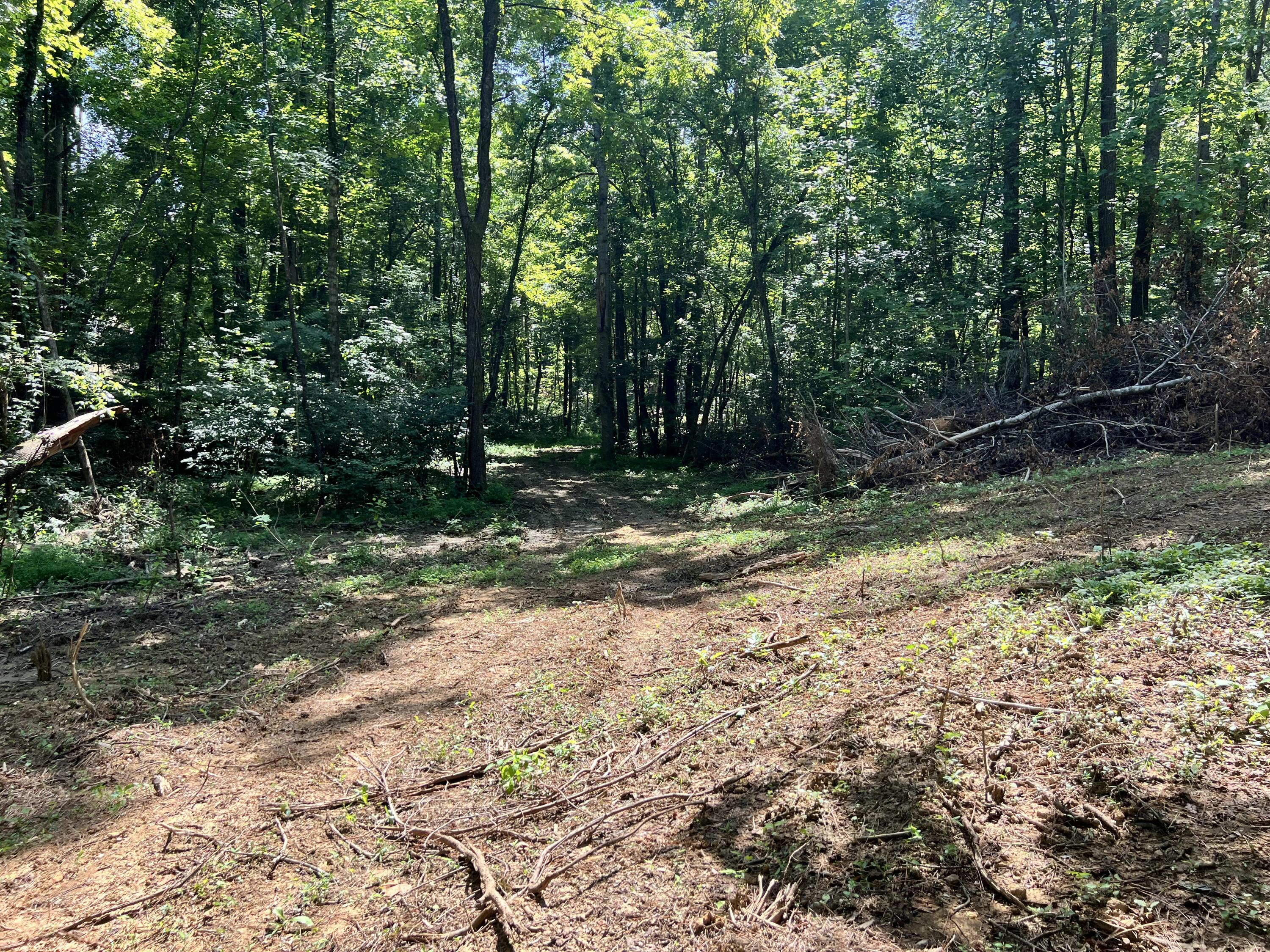 0000 State Highway 1546 Property Photo 13