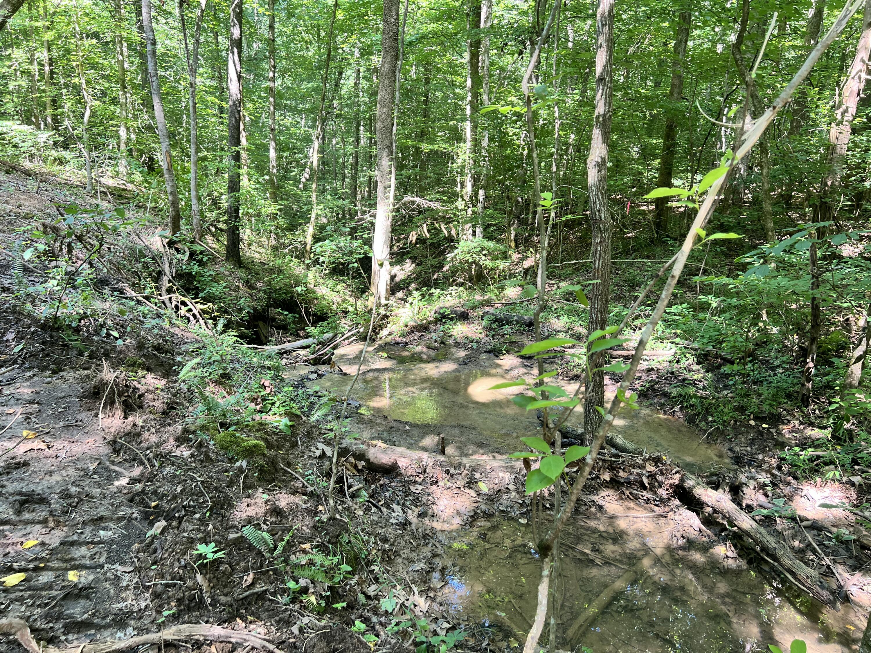 0000 State Highway 1546 Property Photo 15