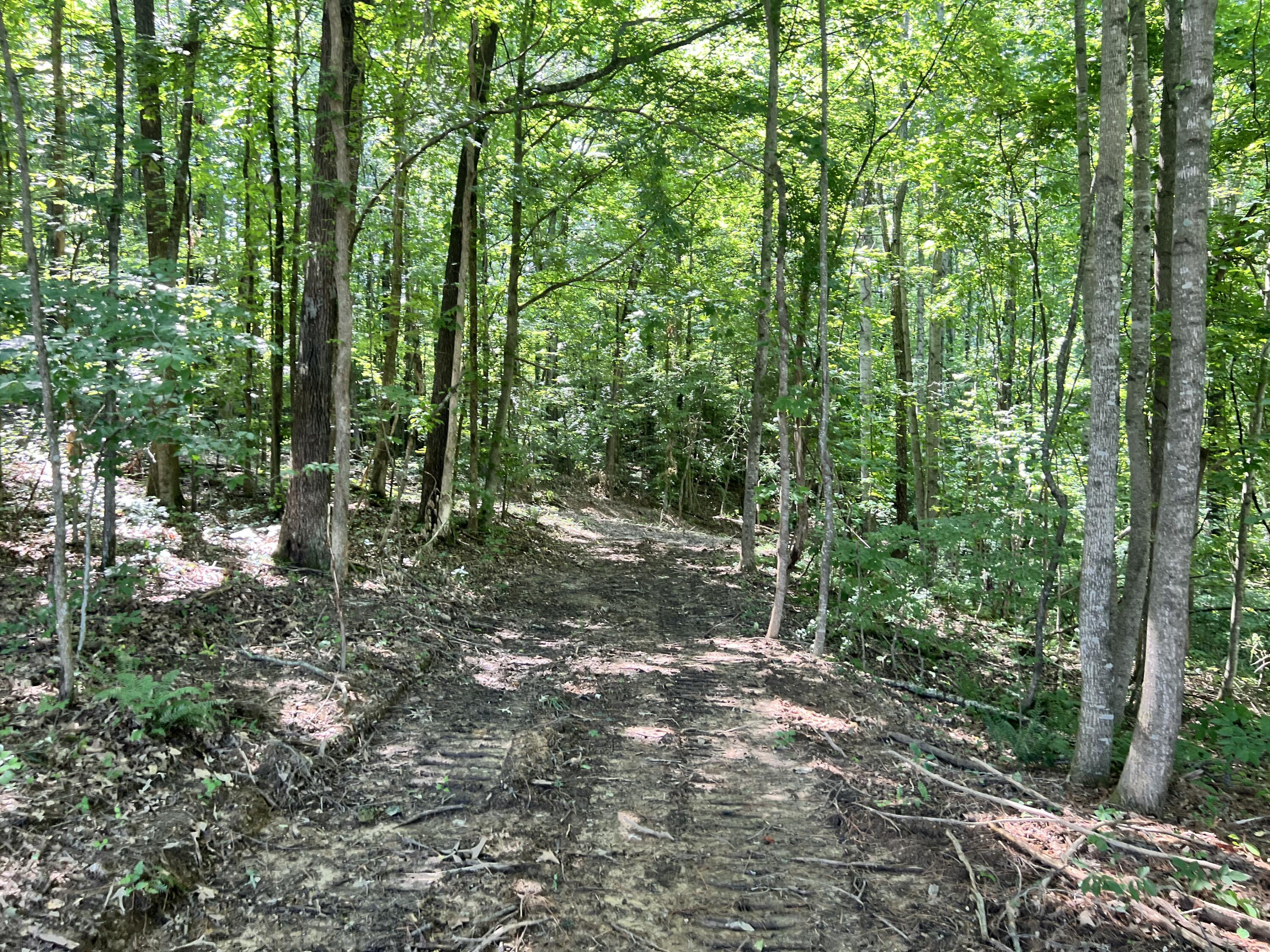 0000 State Highway 1546 Property Photo 16