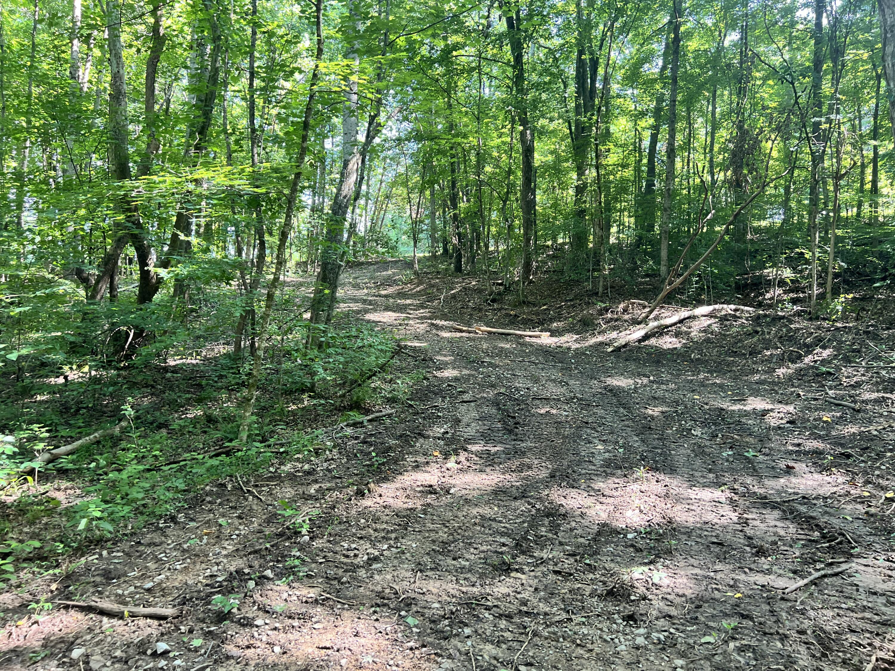 0000 State Highway 1546 Property Photo 17