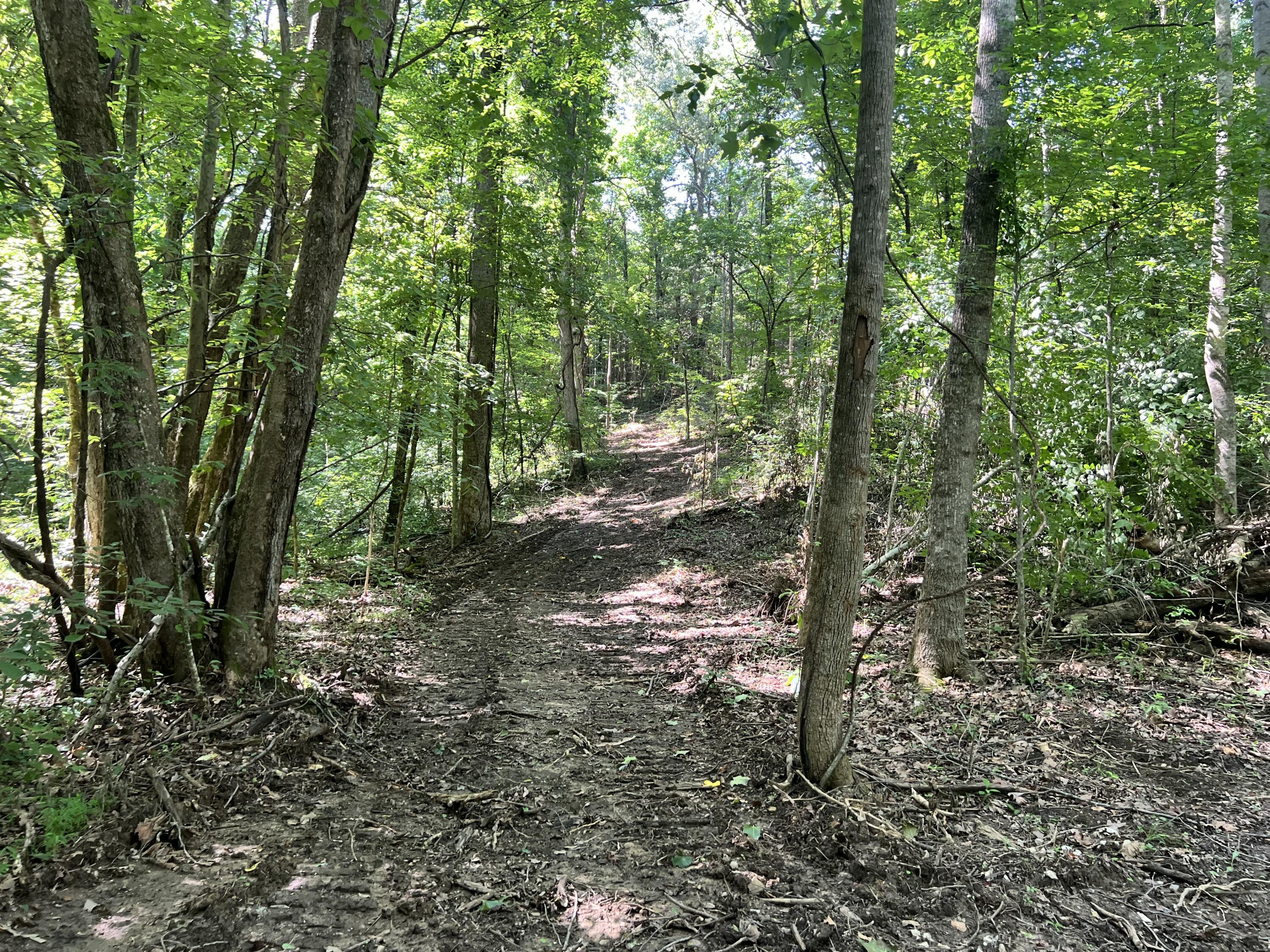 0000 State Highway 1546 Property Photo 18