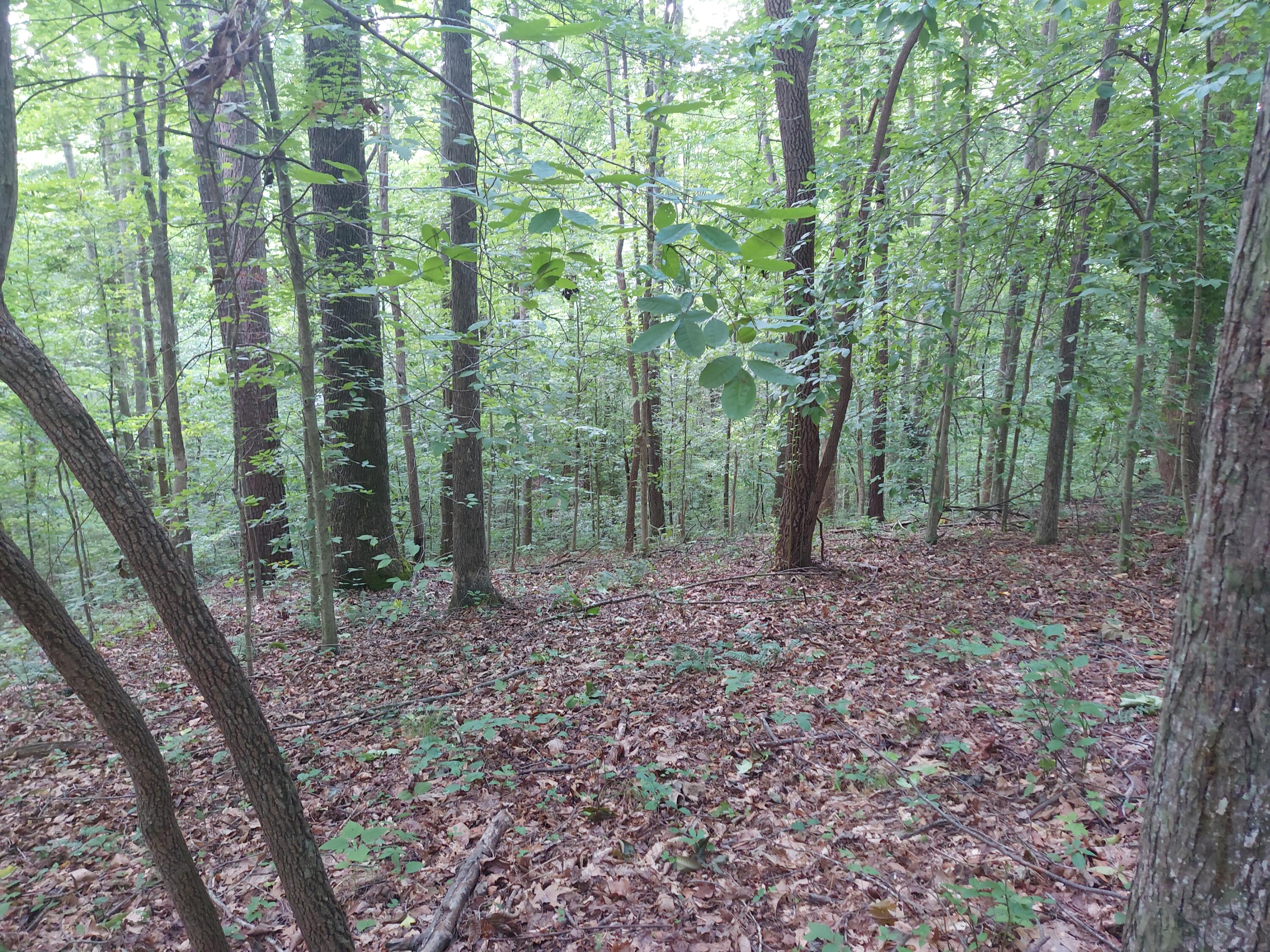 0000 State Highway 1546 Property Photo 19