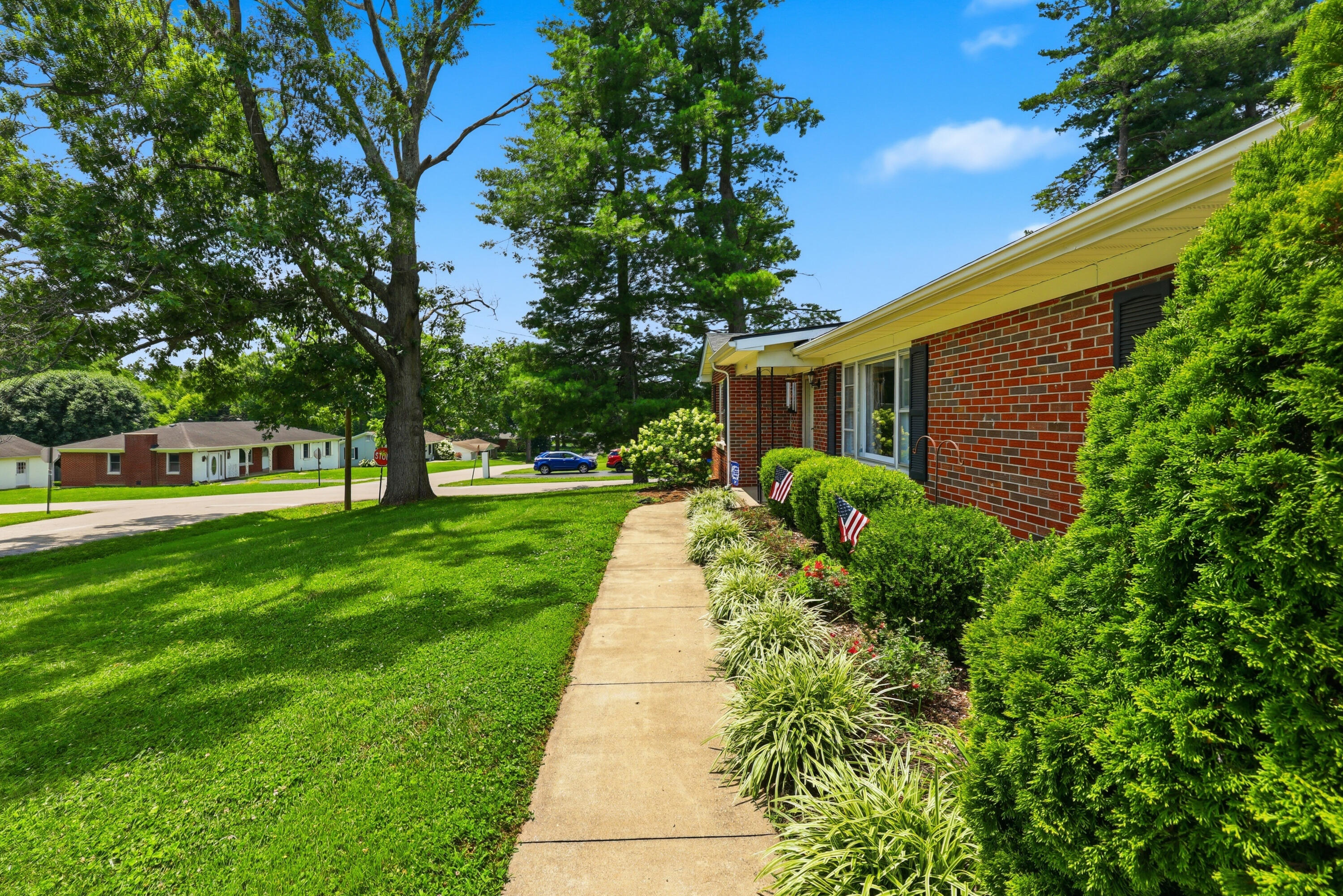 220 Forrest Drive Property Photo 42