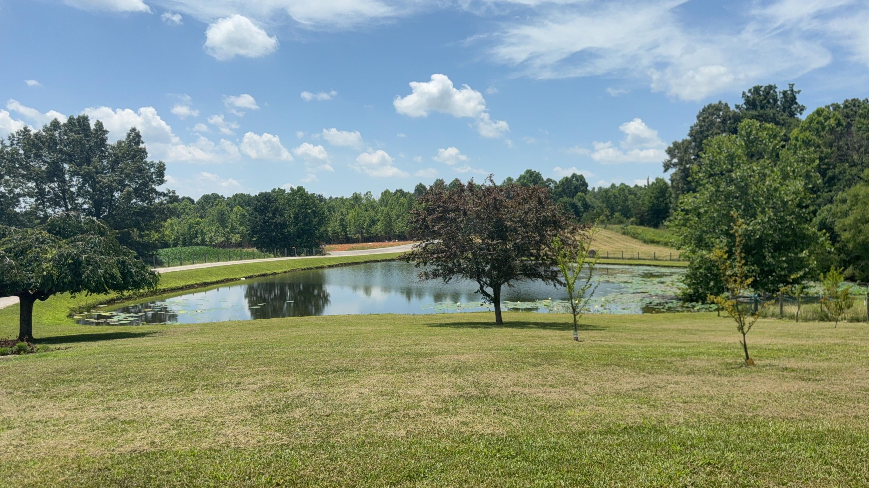 979 Walnut Grove School Rd Road Property Photo 6