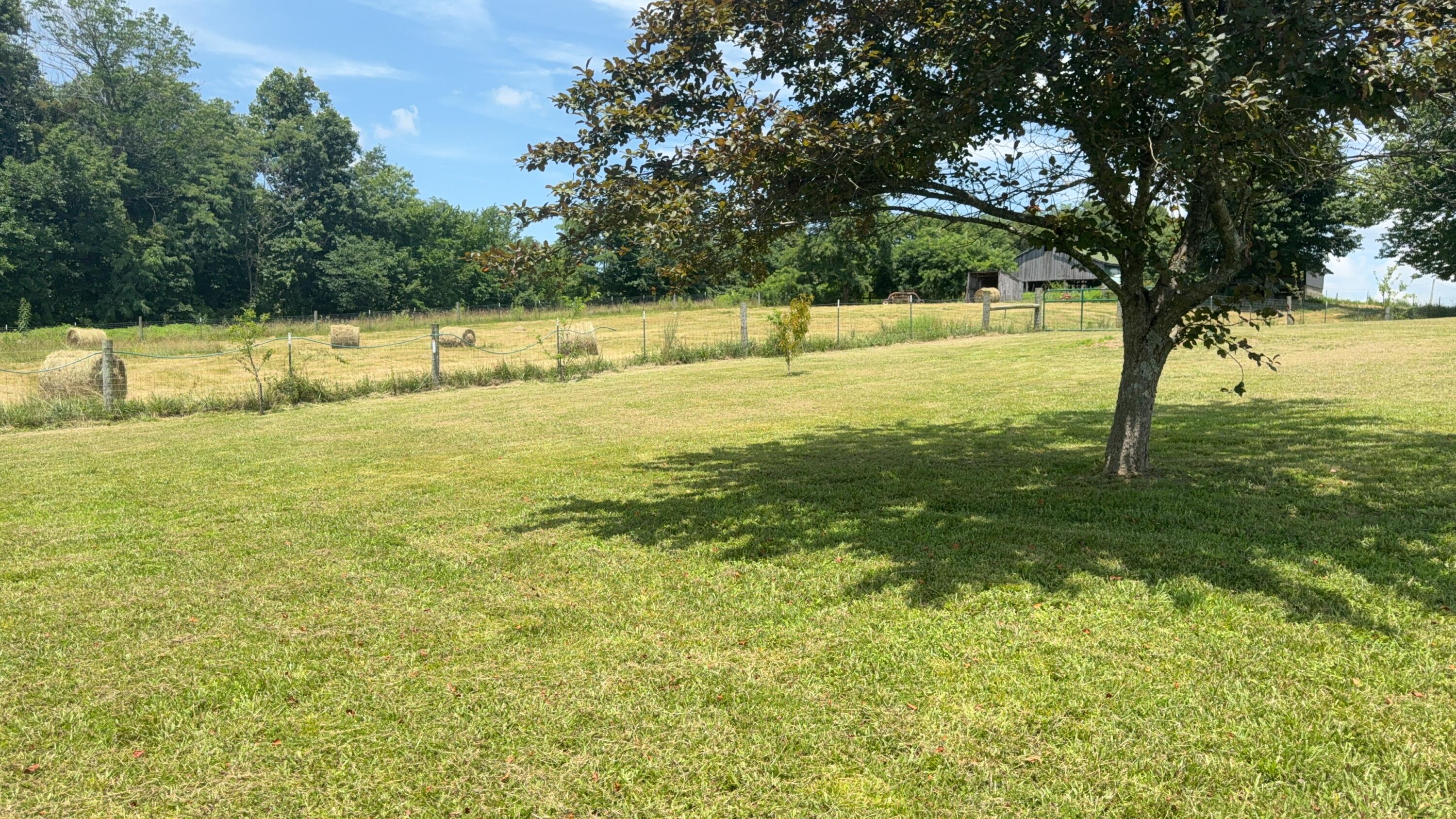 979 Walnut Grove School Rd Road Property Photo 16