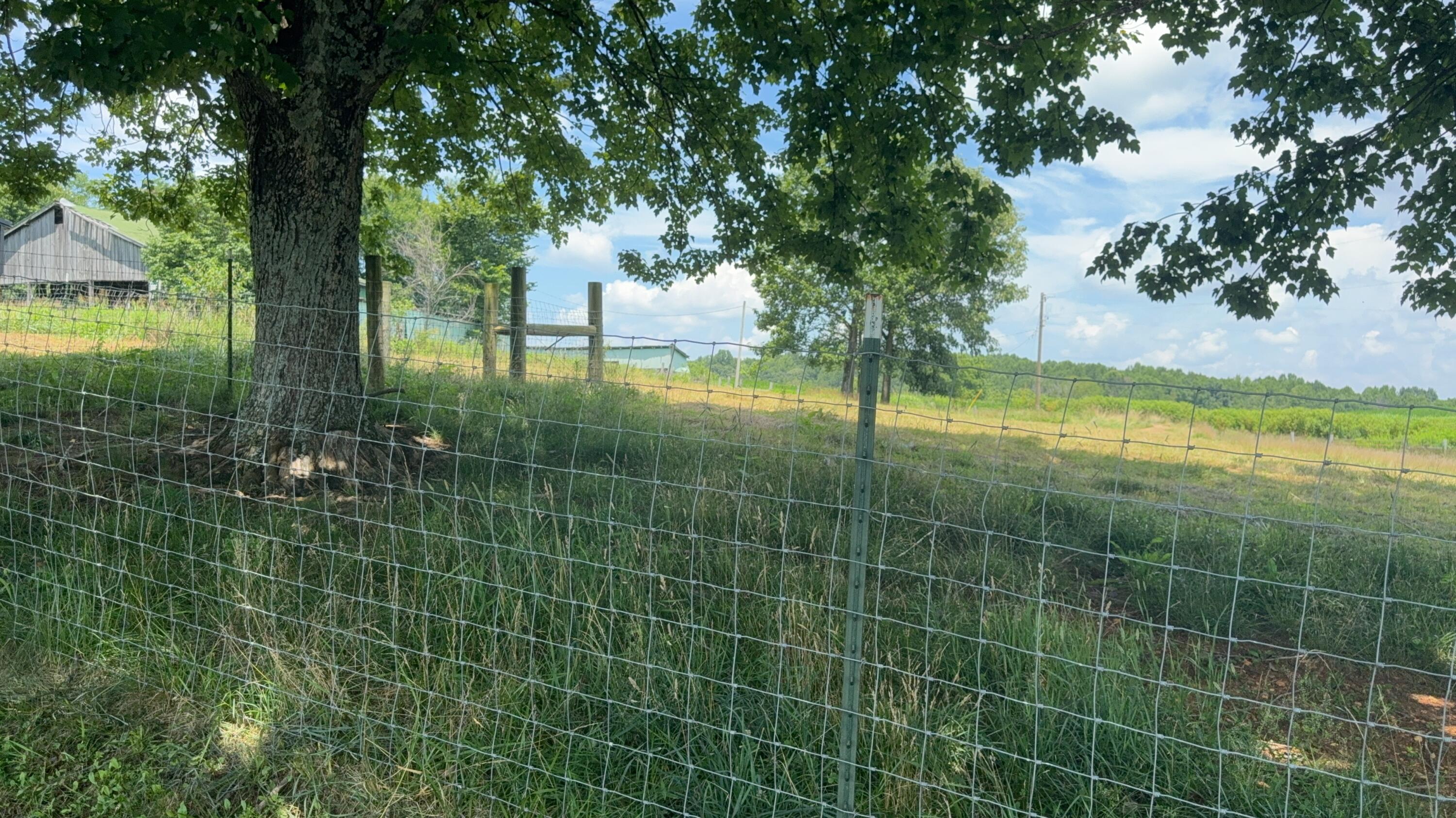 979 Walnut Grove School Rd Road Property Photo 21