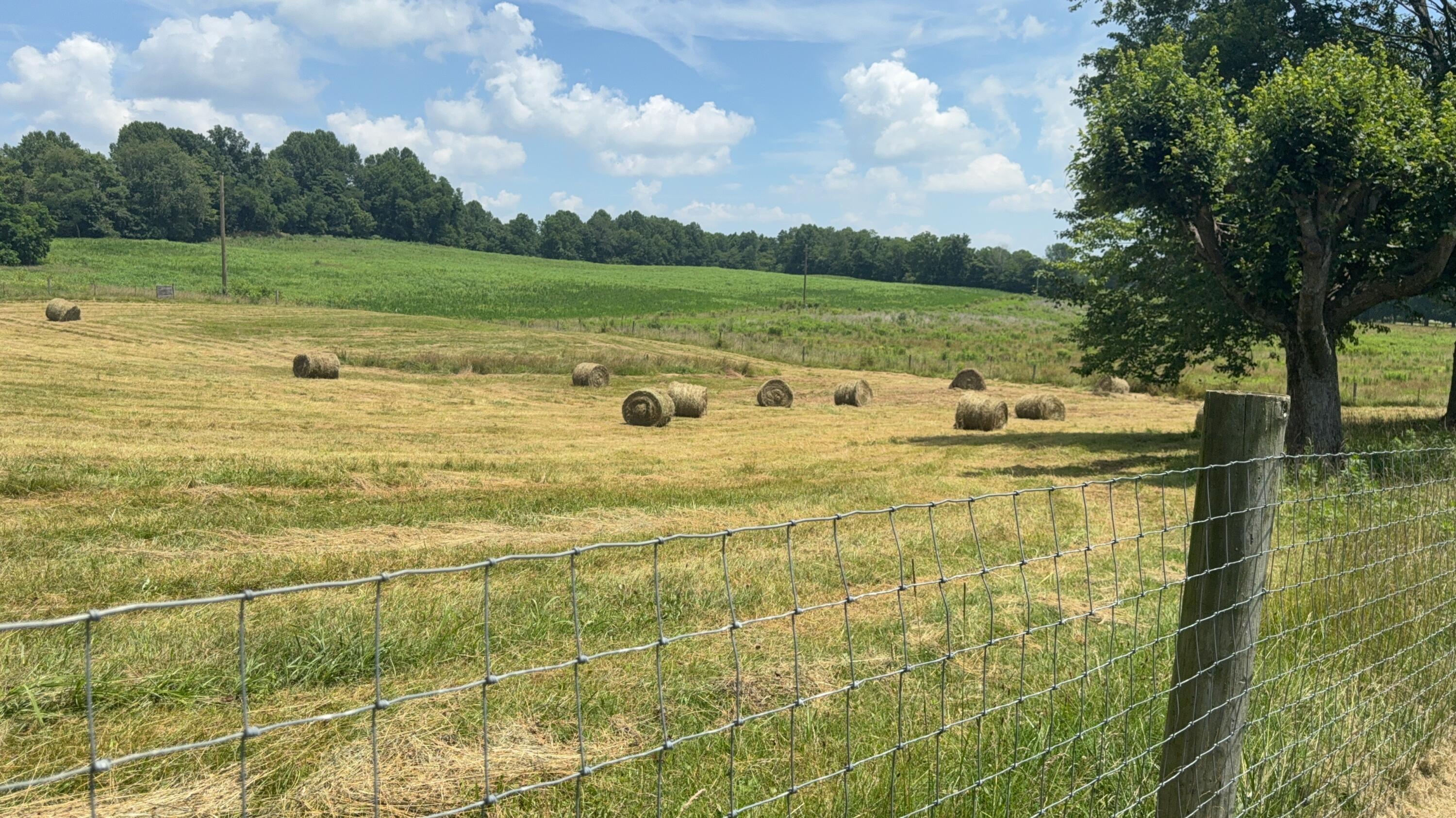 979 Walnut Grove School Rd Road Property Photo 22