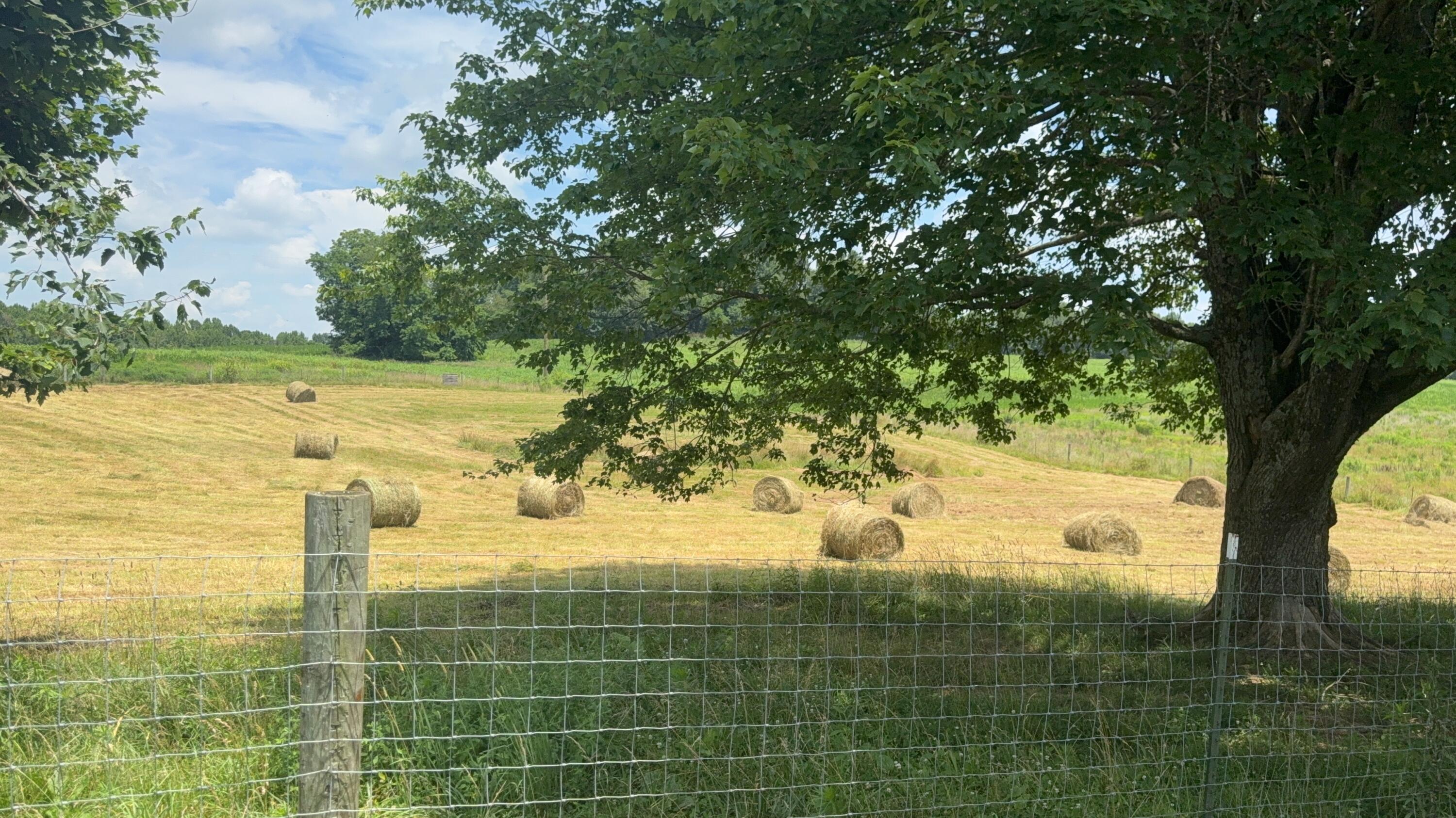 979 Walnut Grove School Rd Road Property Photo 23
