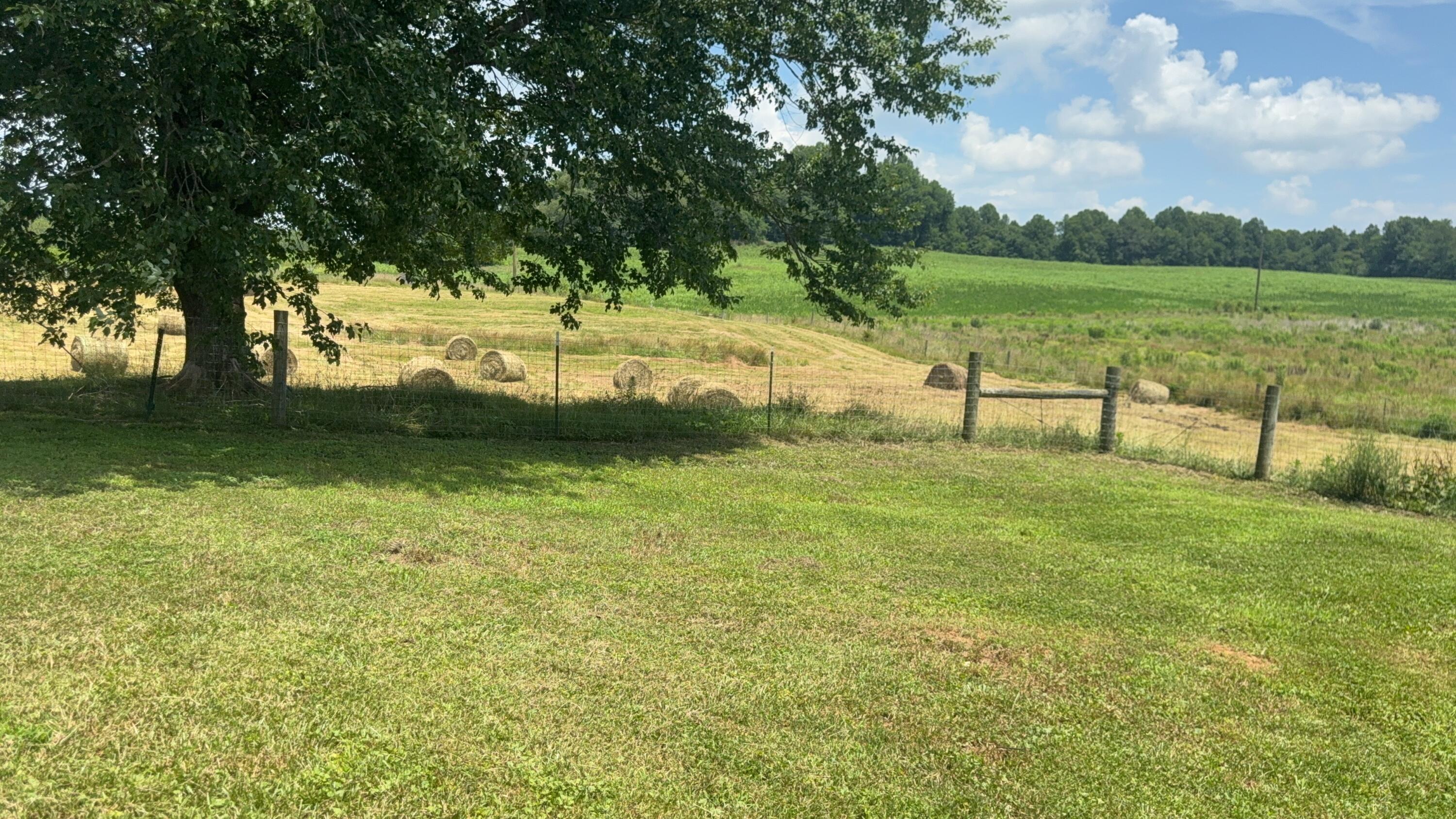 979 Walnut Grove School Rd Road Property Photo 25