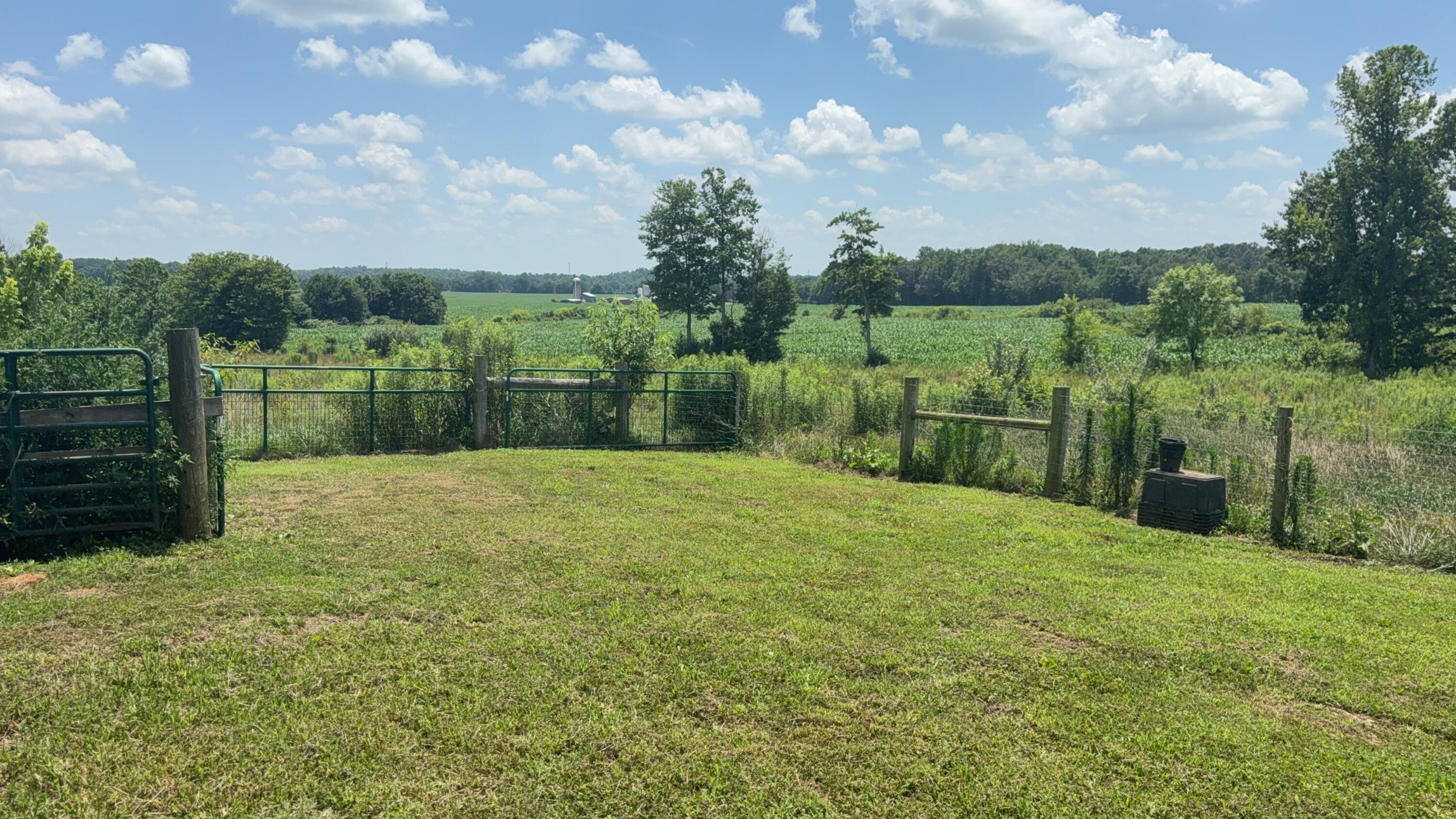 979 Walnut Grove School Rd Road Property Photo 27
