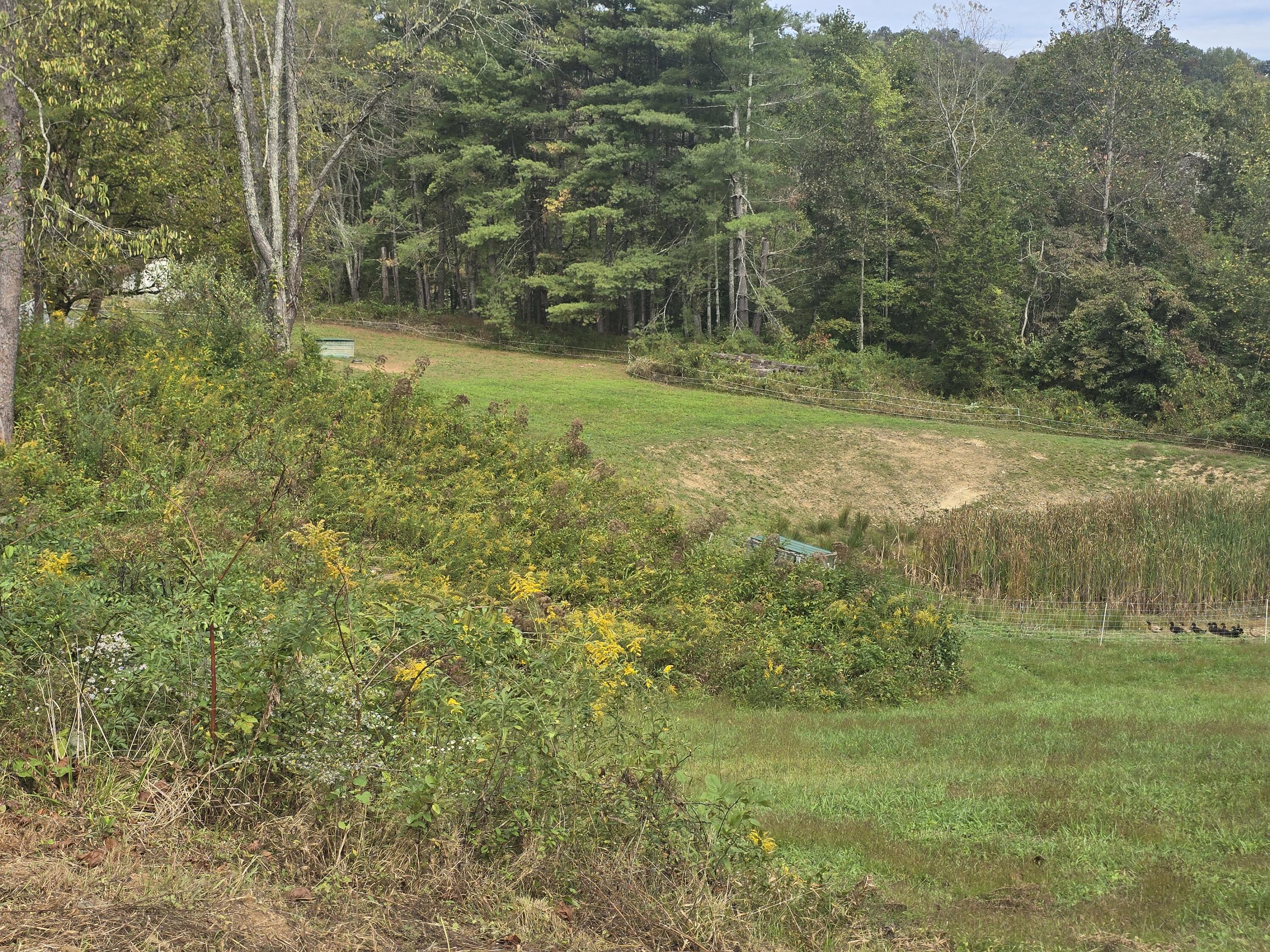 7408 N 11 Highway Property Photo 20
