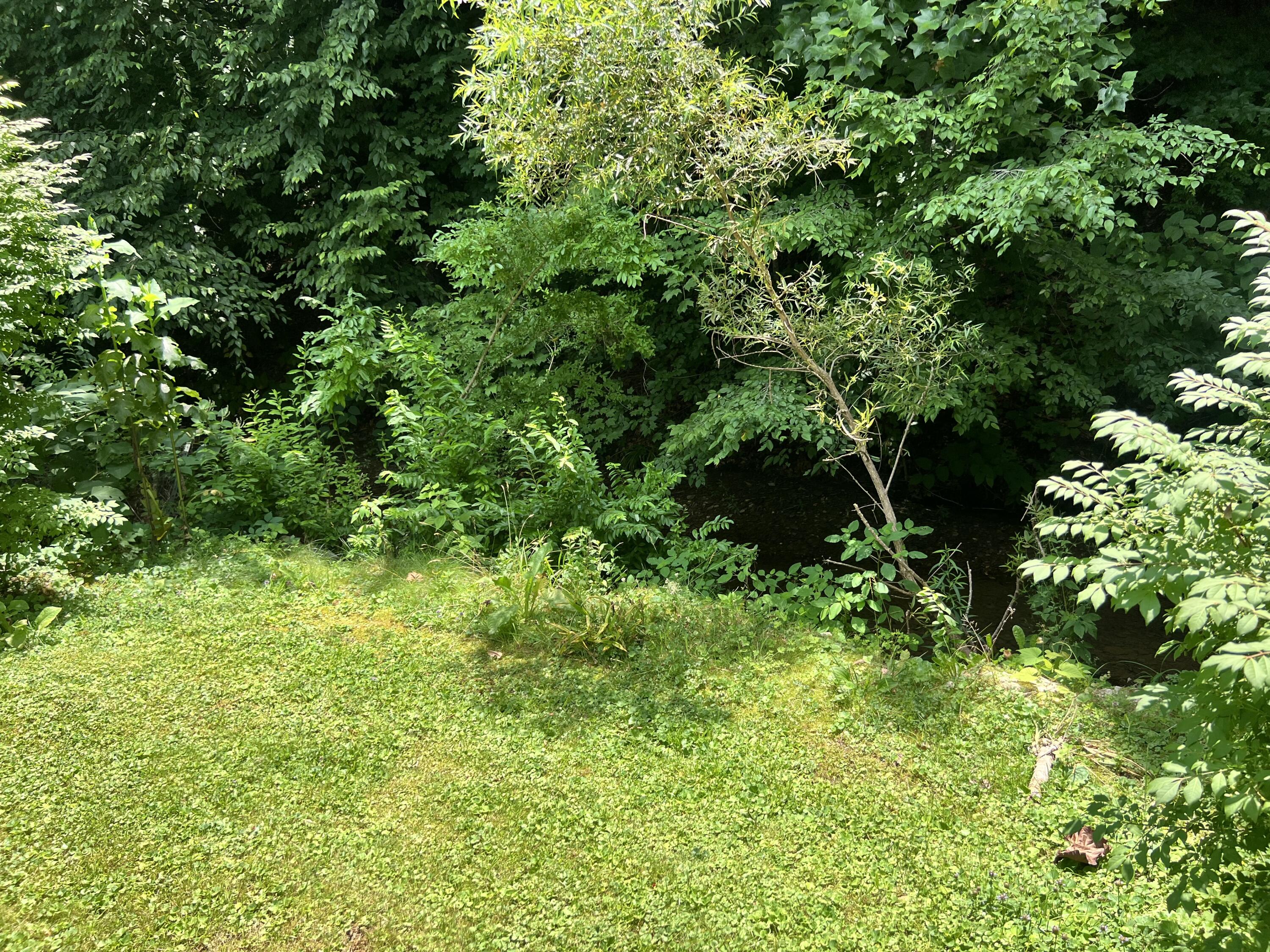 660 Glenn Avenue Property Photo 19