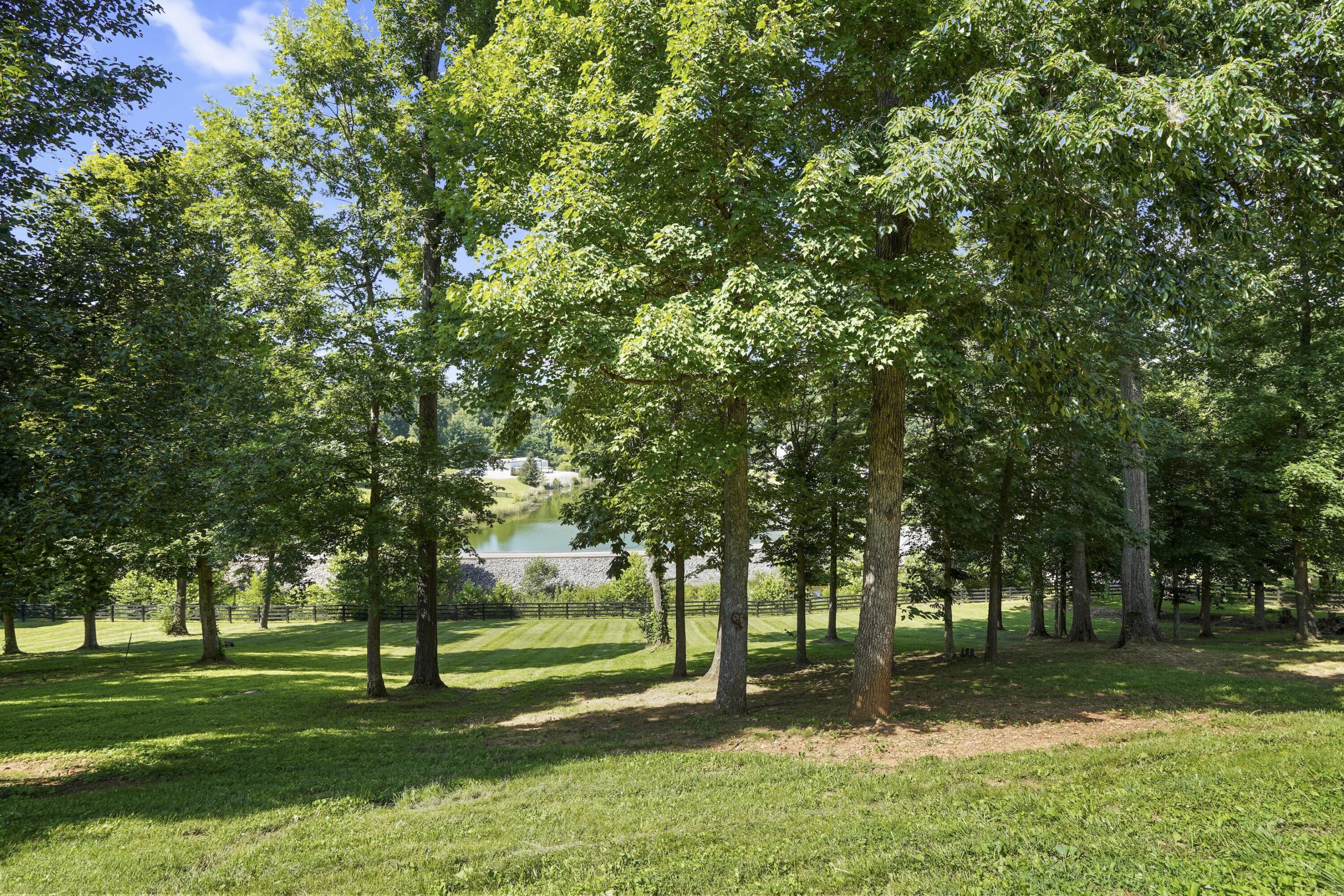 250 Summer Breeze Drive Property Photo 81