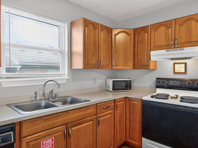 502 Tecumseh Trail A Property Photo 3