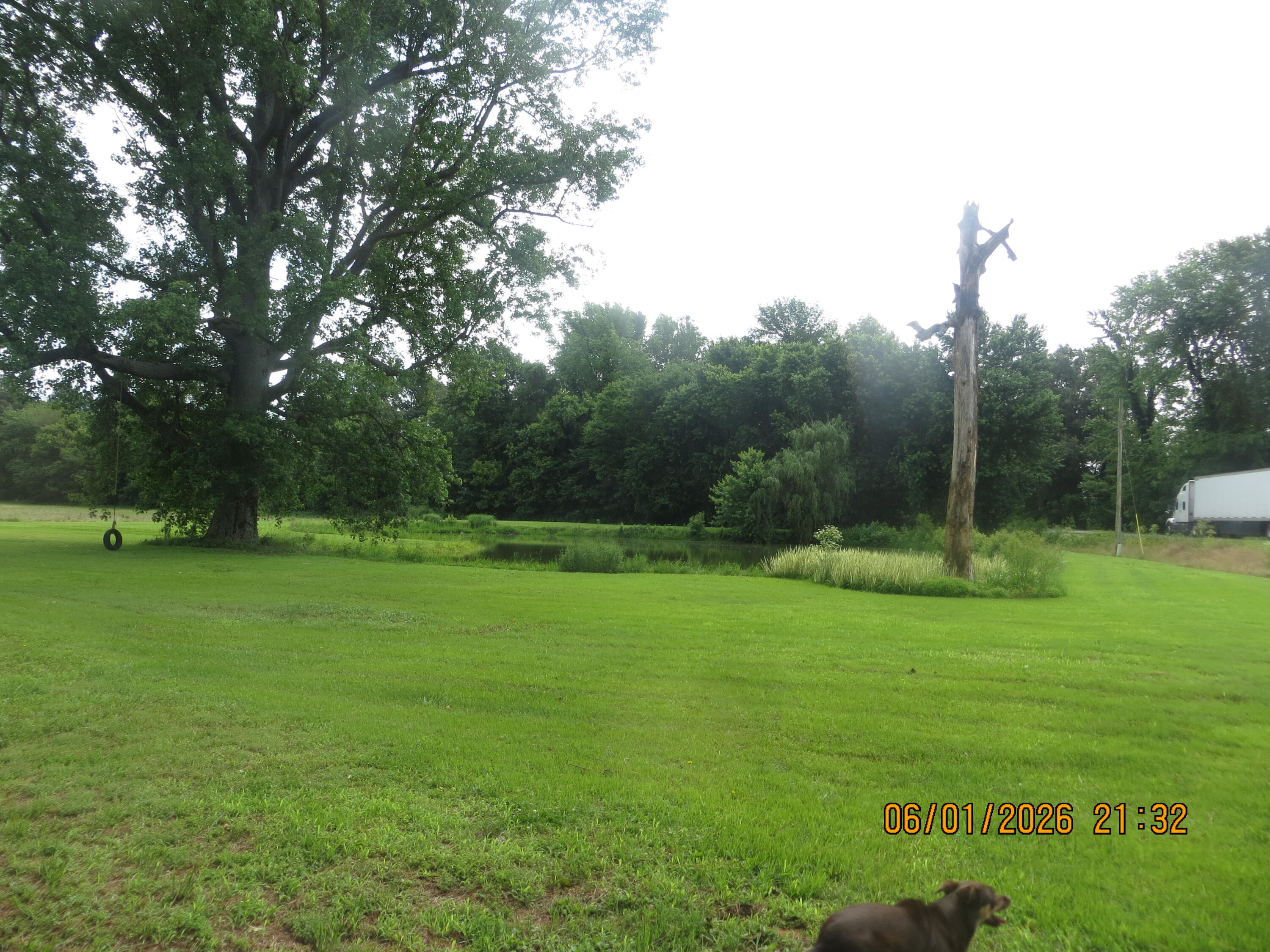 4870 State Hwy 288 Property Photo 9