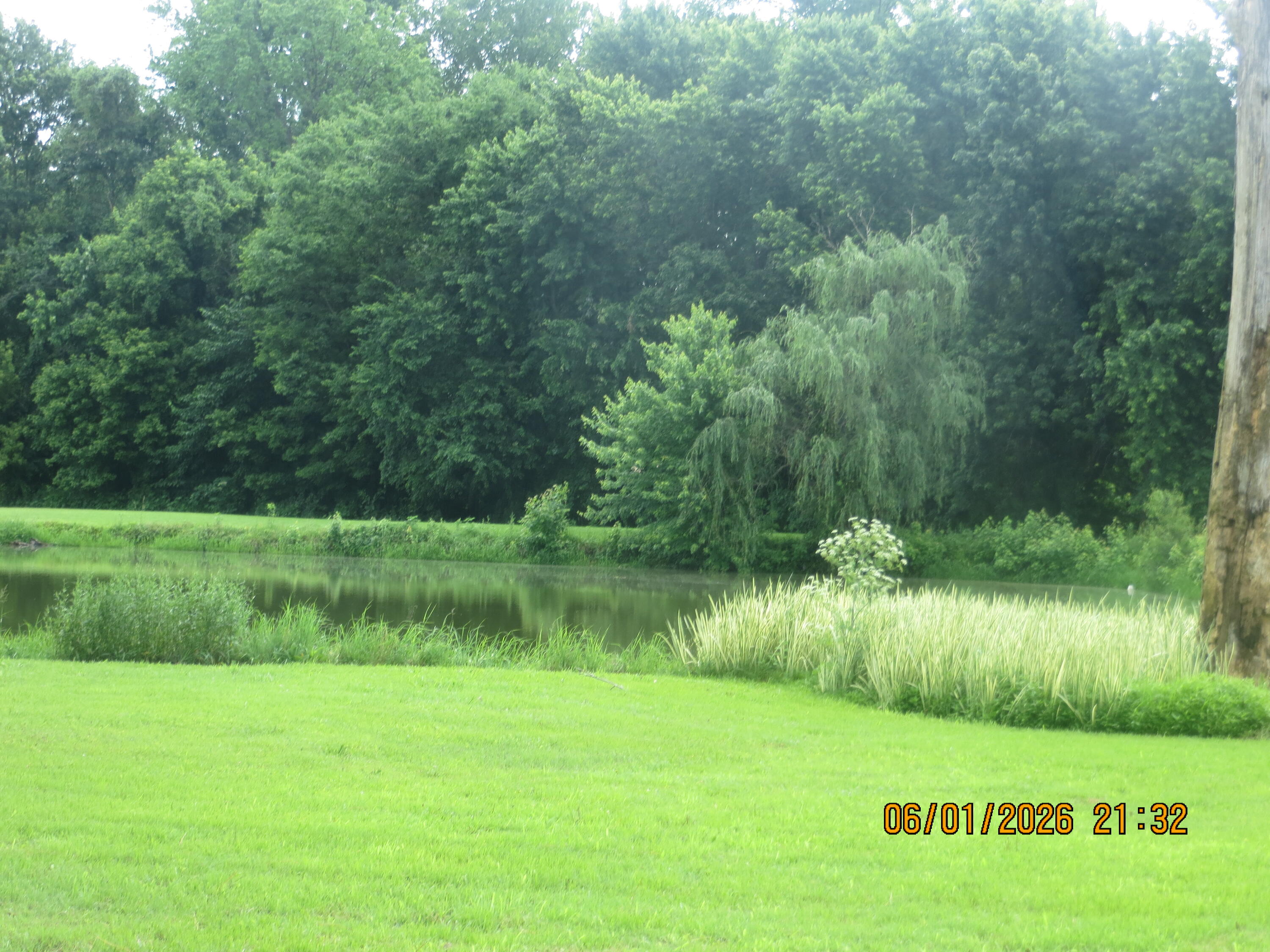 4870 State Hwy 288 Property Photo 10