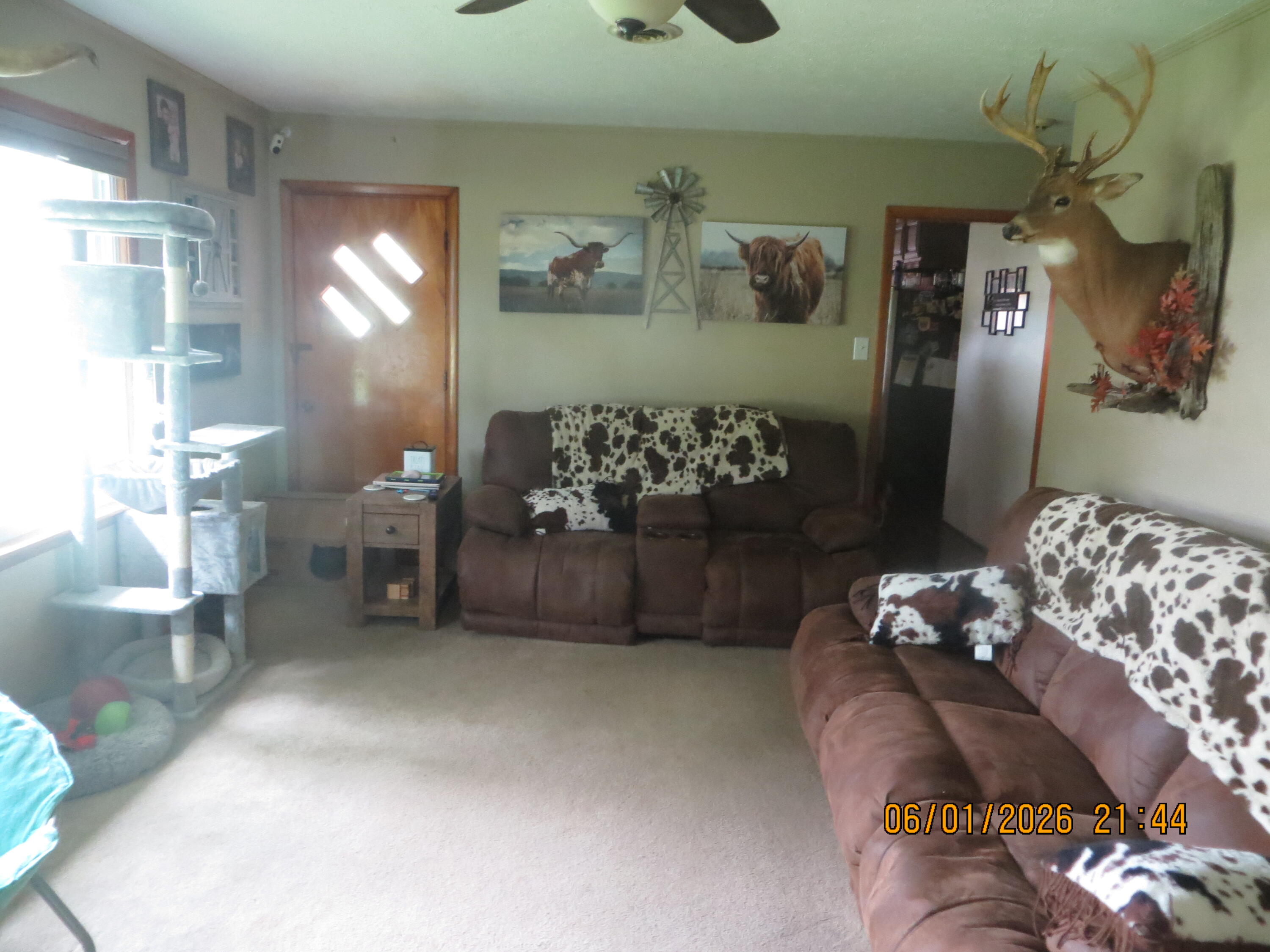 4870 State Hwy 288 Property Photo 21