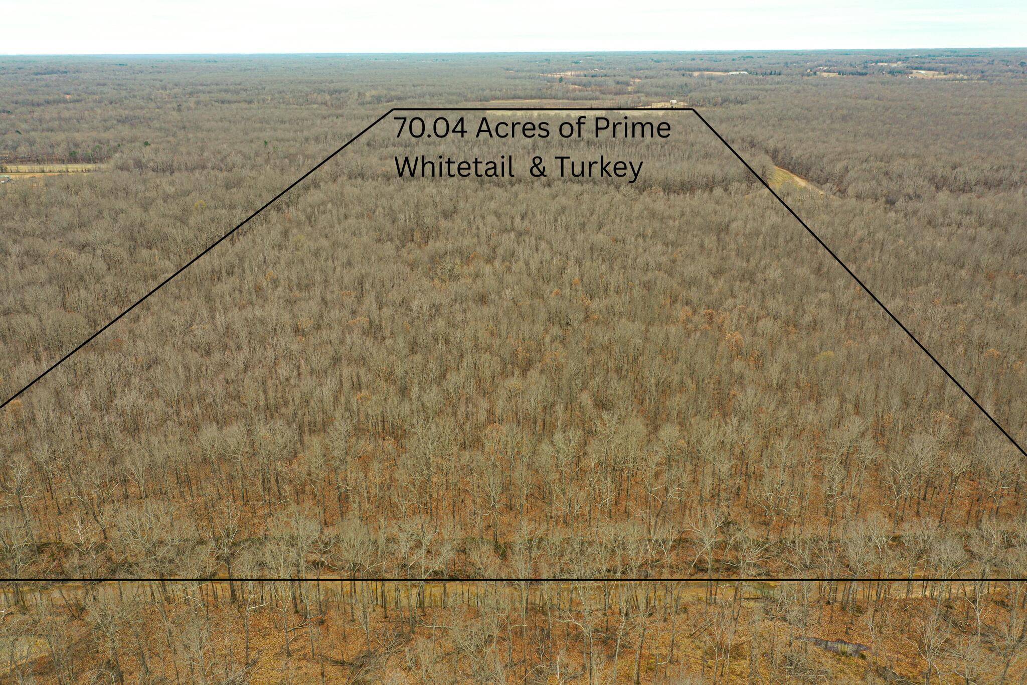 1385 Mayes Lane Property Photo 2