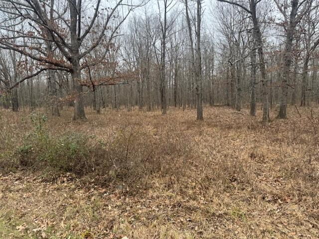 1385 Mayes Lane Property Photo 5
