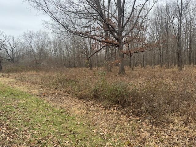 1385 Mayes Lane Property Photo 6