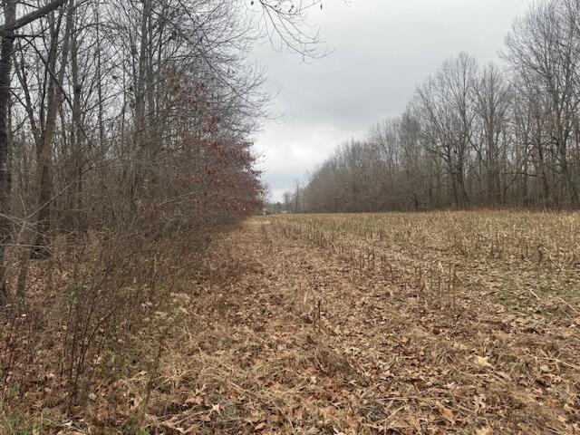 1385 Mayes Lane Property Photo 8