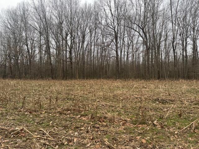 1385 Mayes Lane Property Photo 9
