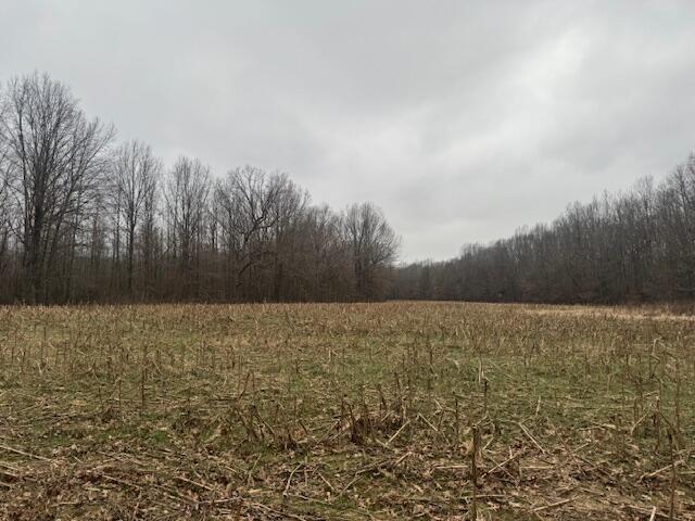 1385 Mayes Lane Property Photo 11