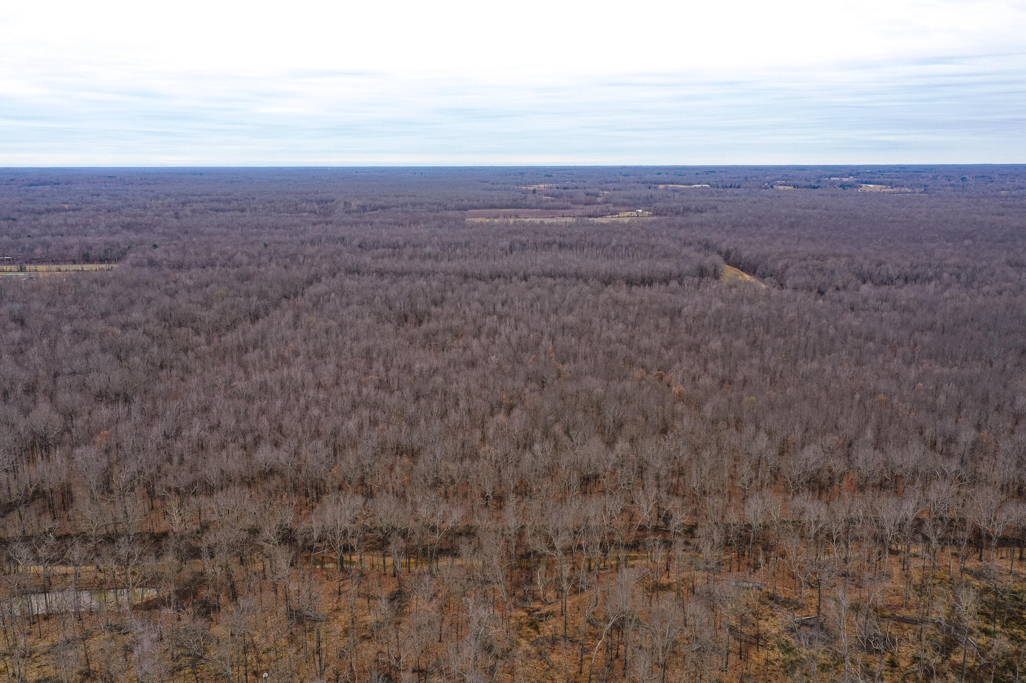 1385 Mayes Lane Property Photo 37