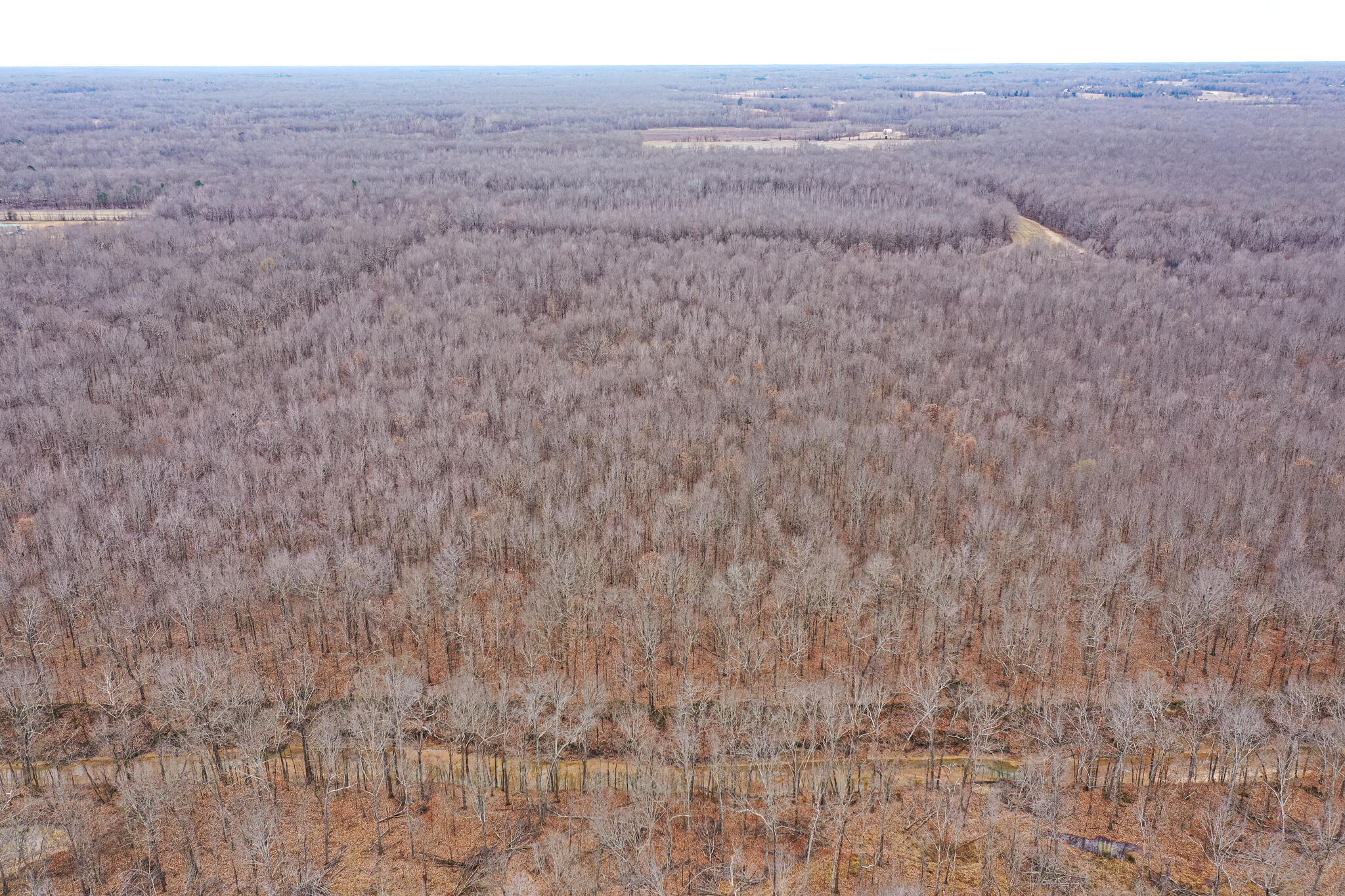 1385 Mayes Lane Property Photo 38