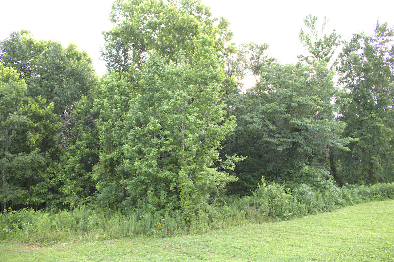 113 Outlook Drive Property Photo 37
