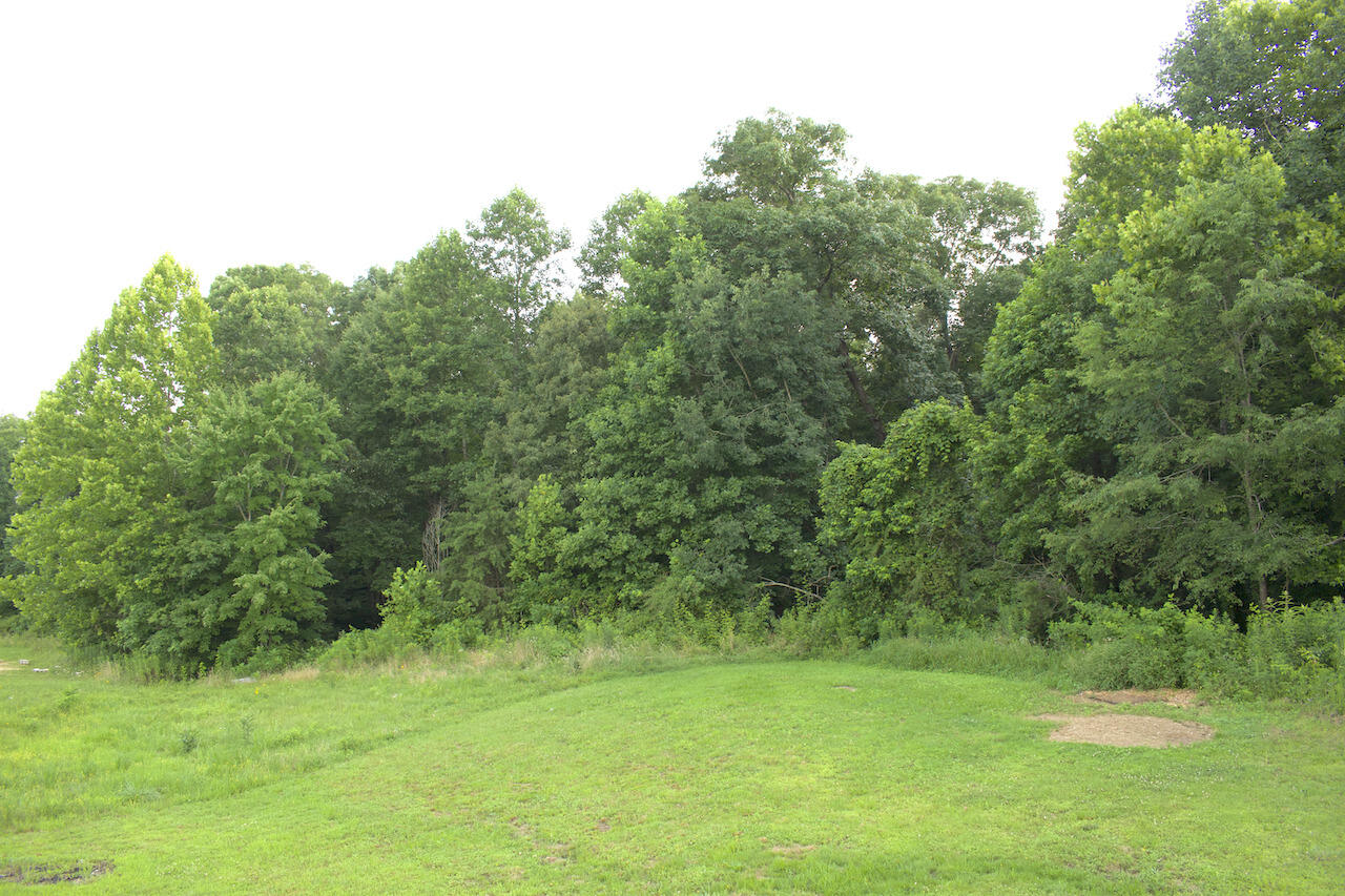 113 Outlook Drive Property Photo 38