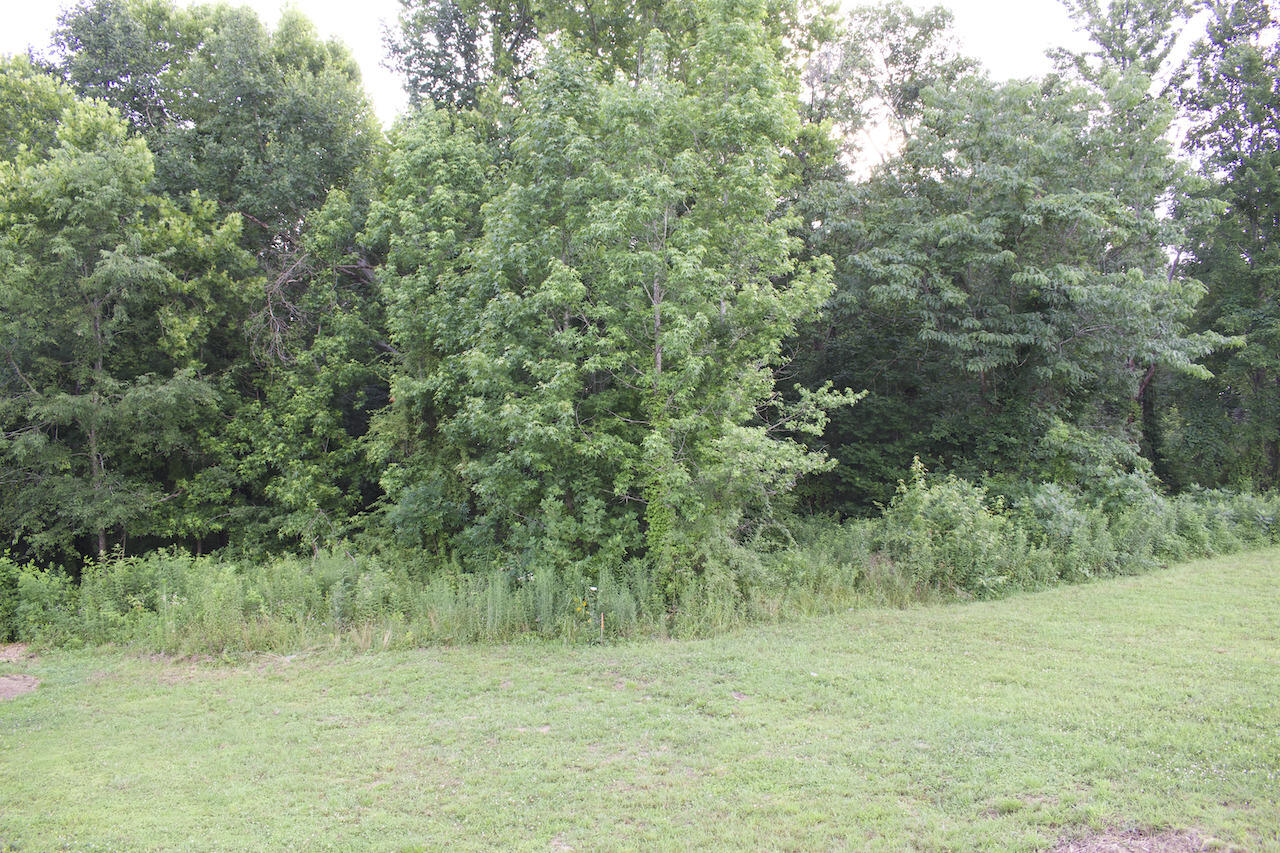 113 Outlook Drive Property Photo 39
