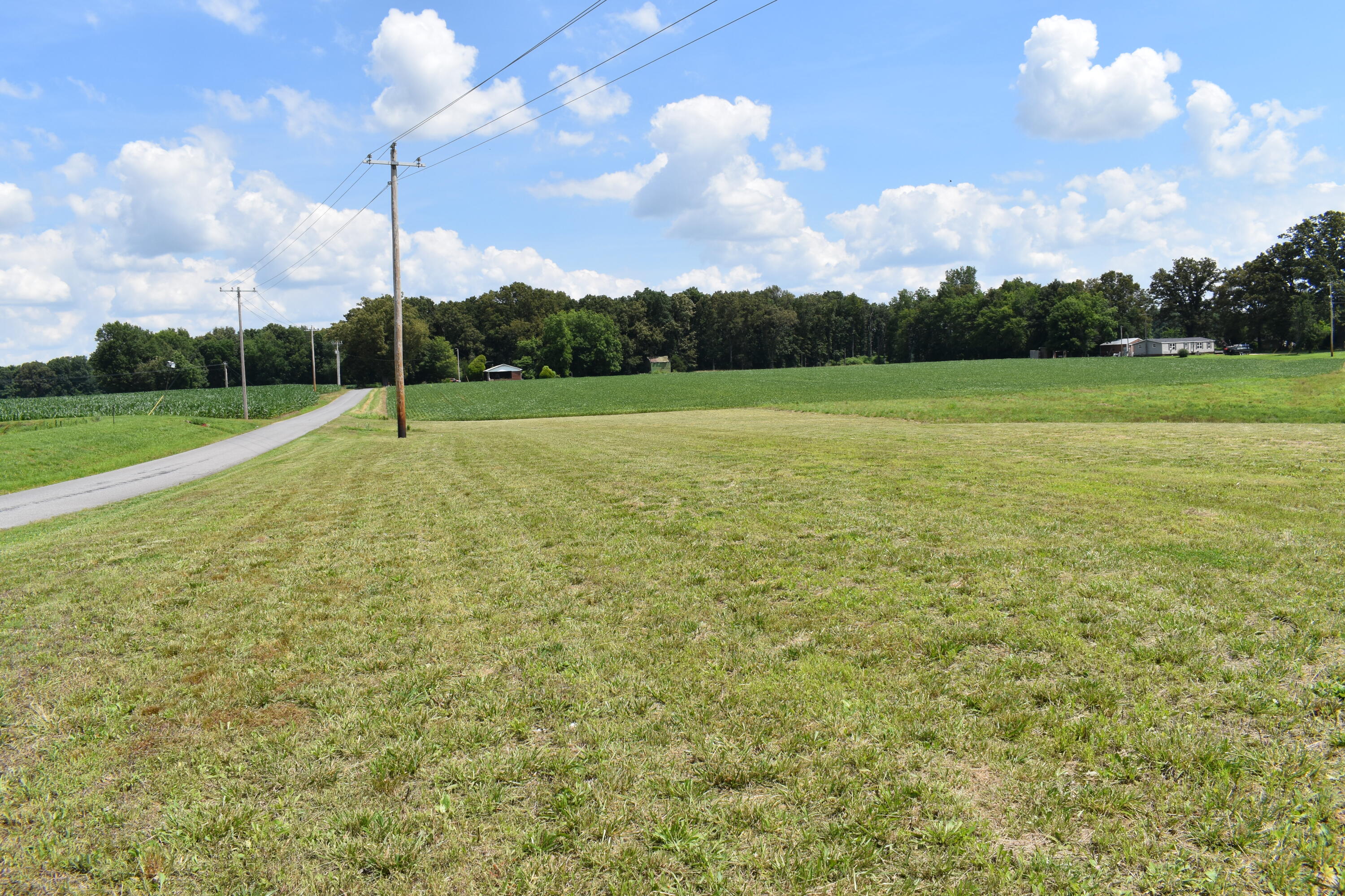 1975 Page Road Property Photo 4
