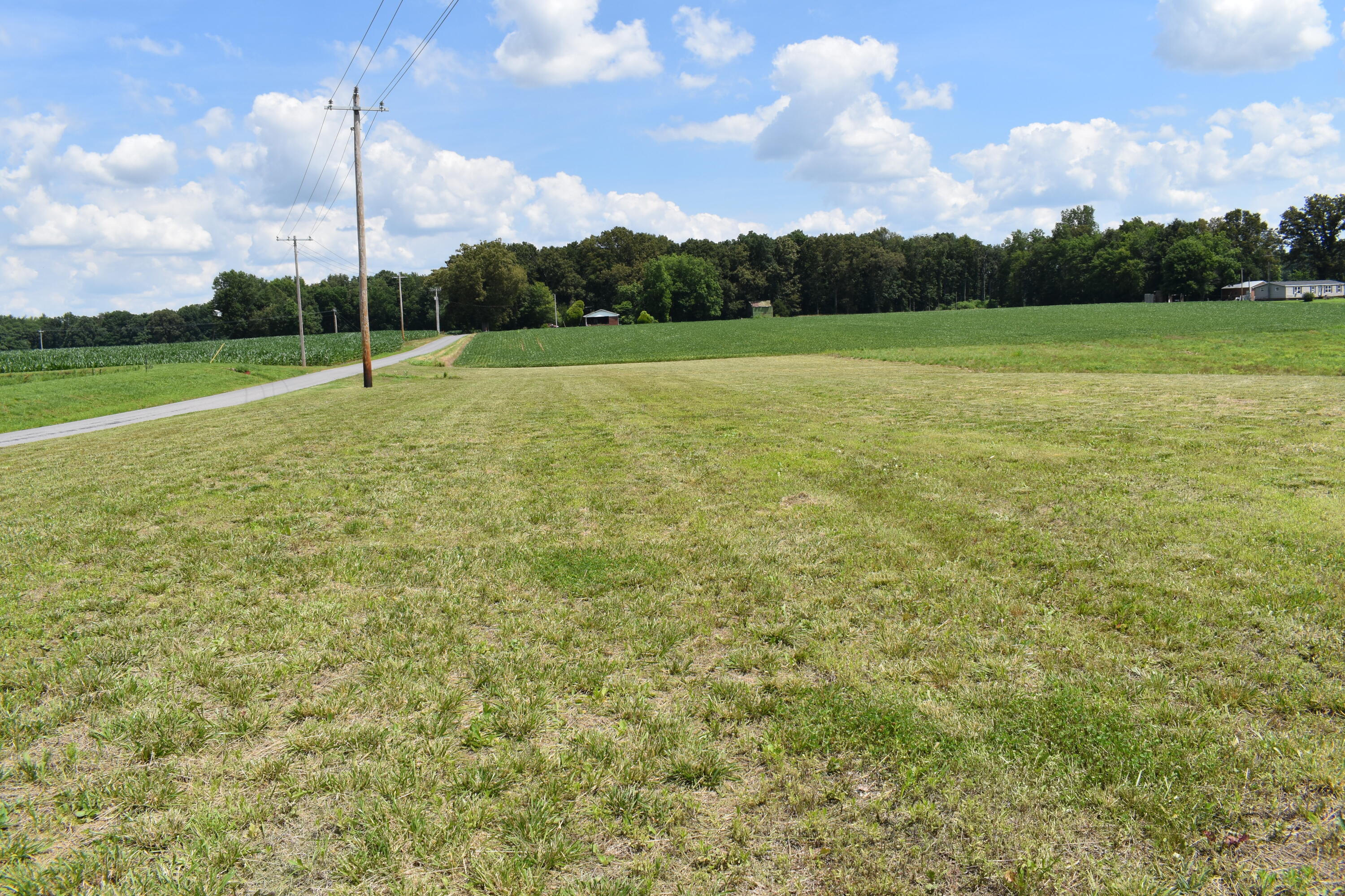 1975 Page Road Property Photo 5