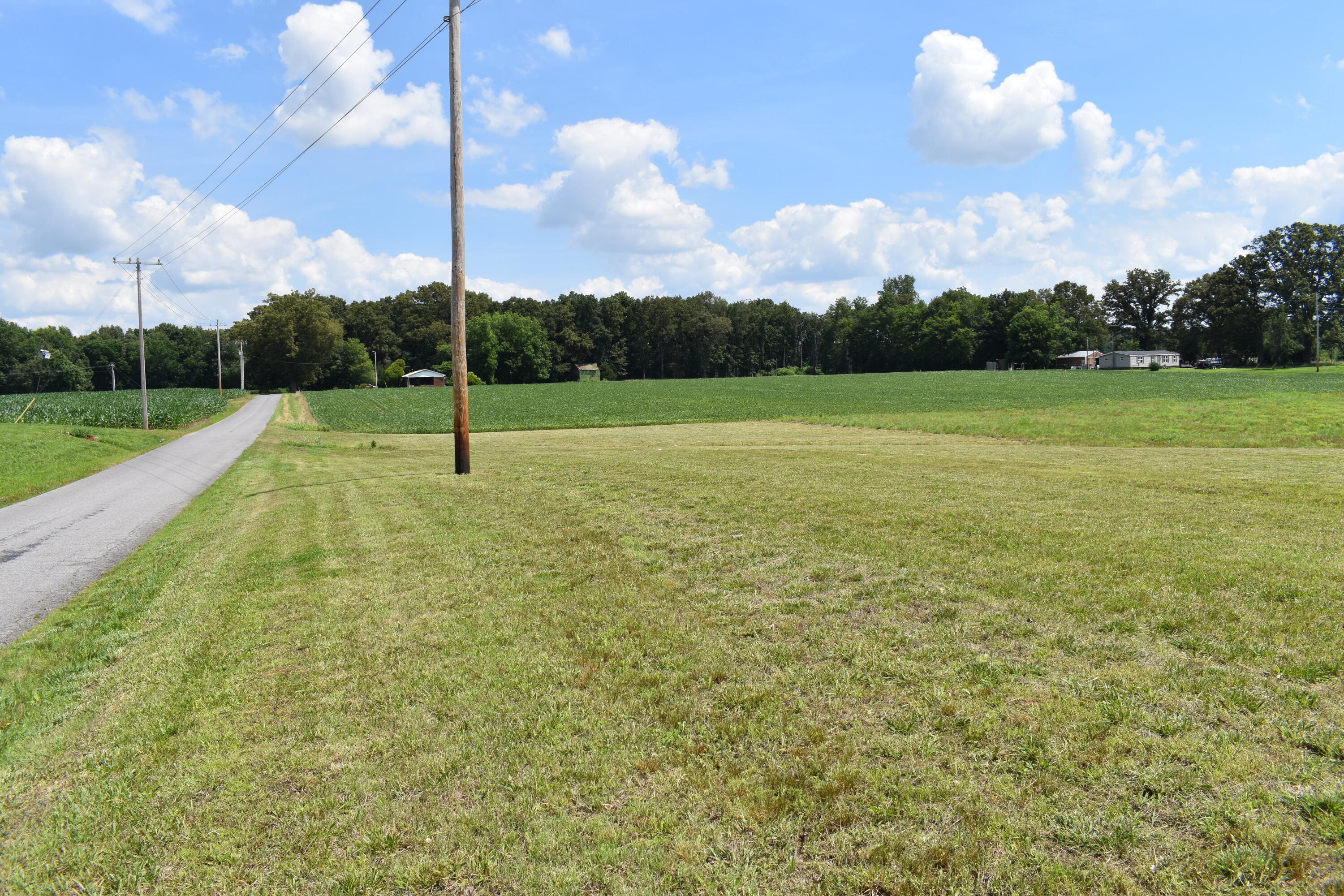 1975 Page Road Property Photo 6