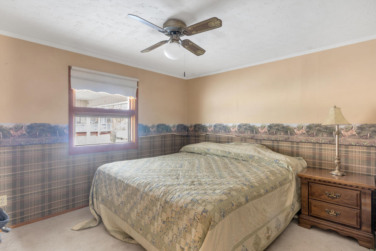 38 Elmhurst Lane Property Photo 16