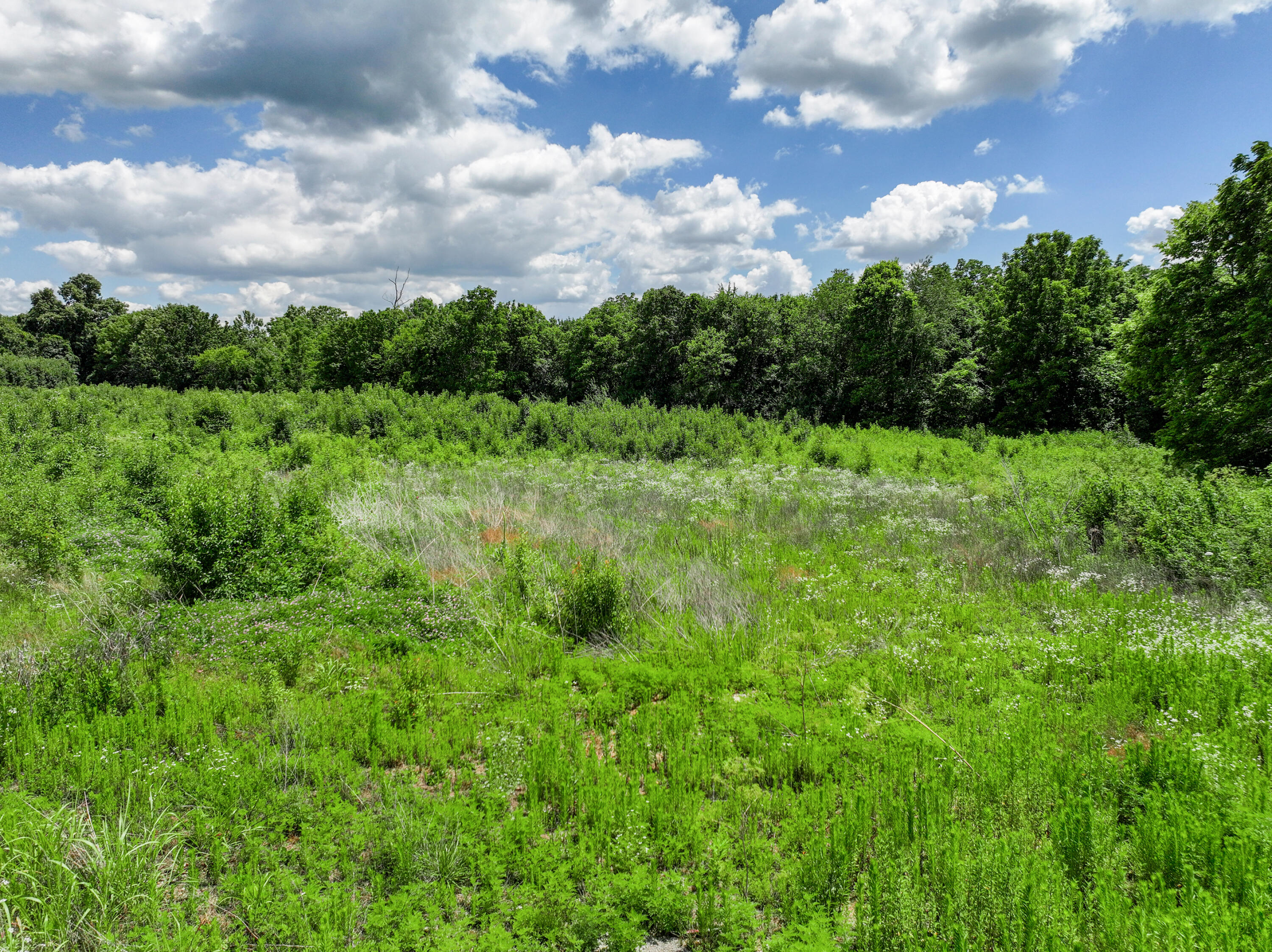 Lot Iv-r Clays Mill Extended Property Photo 6