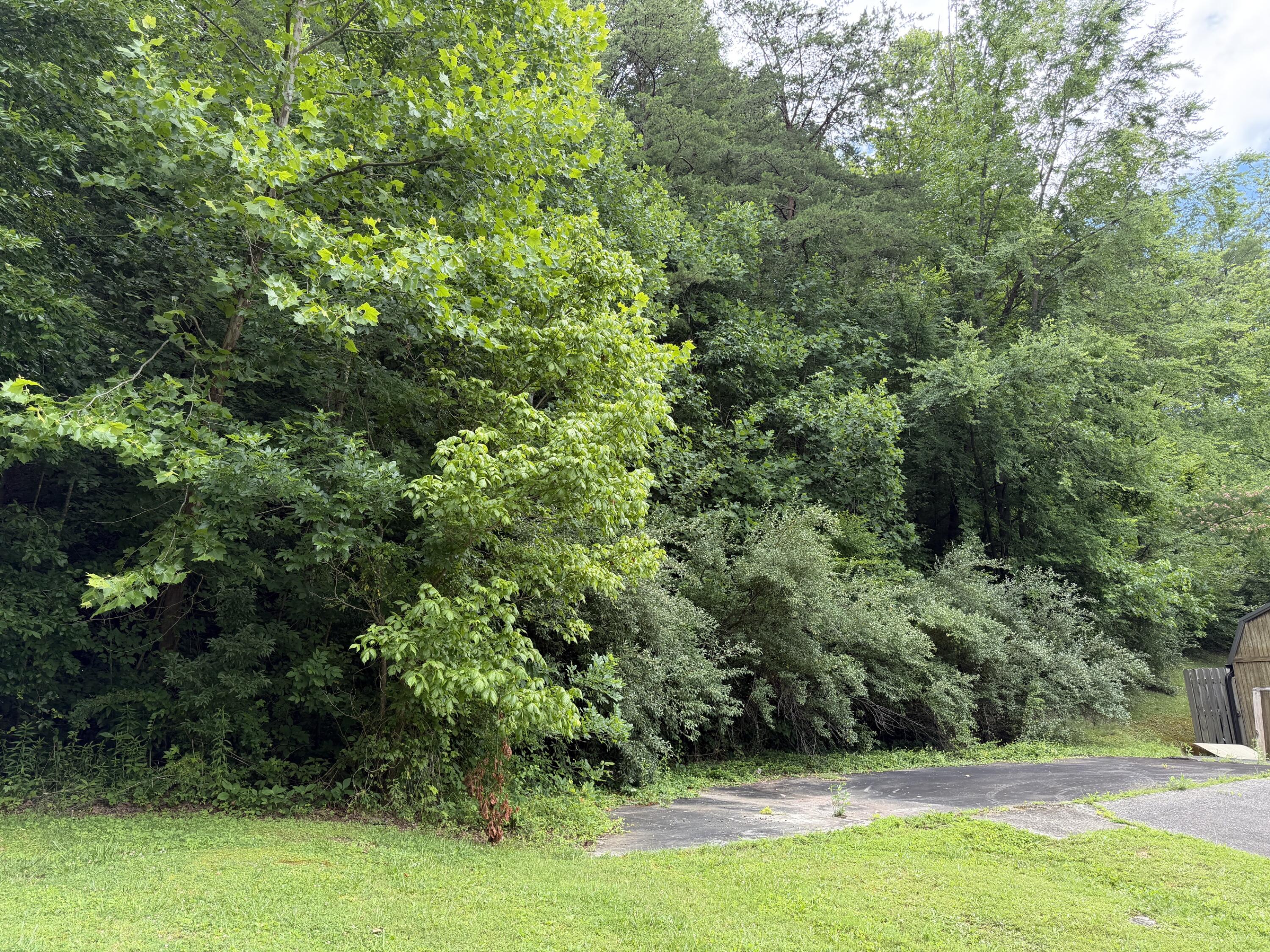 999 Mcdonalds Lane Property Photo 3
