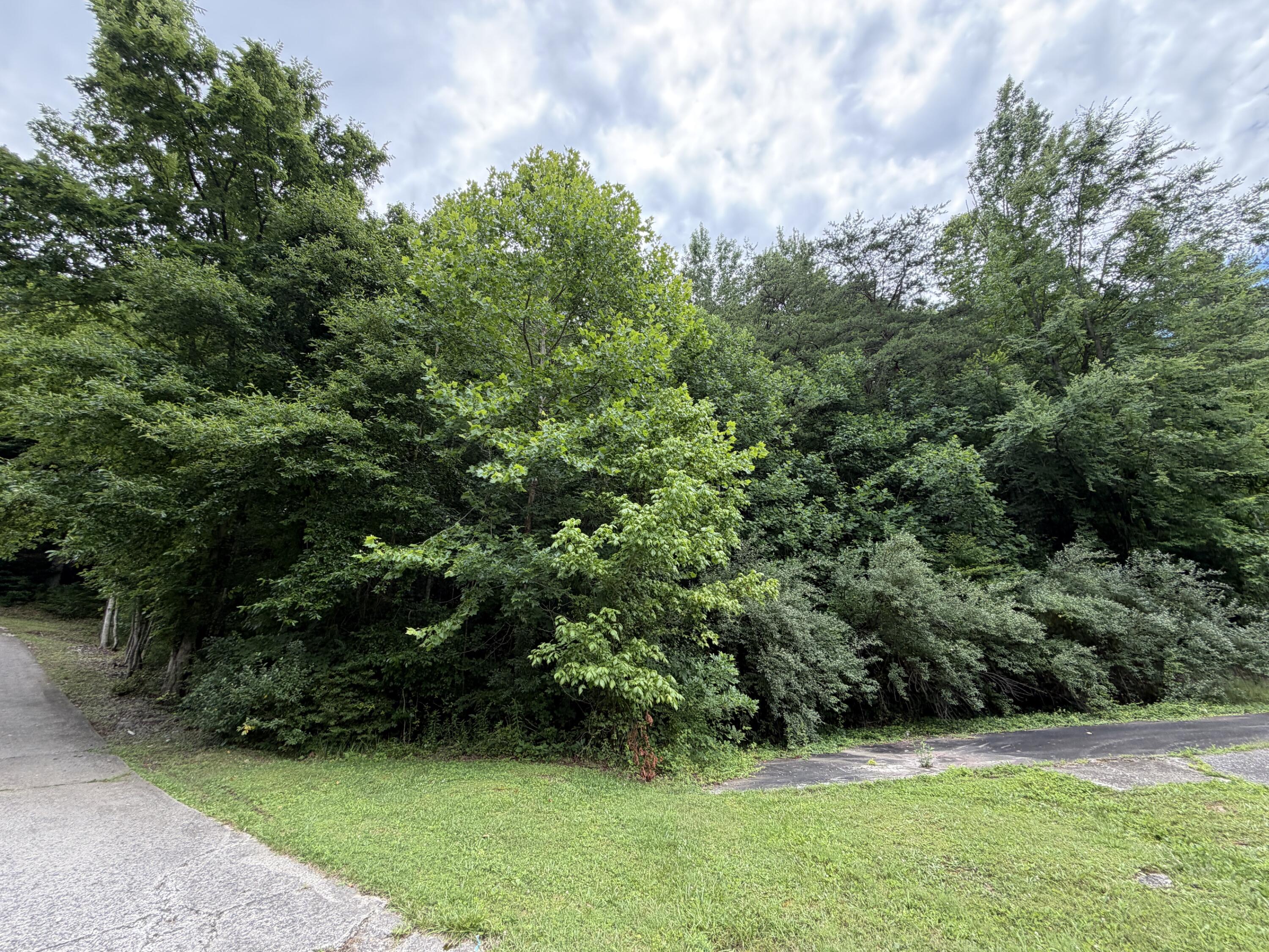 999 Mcdonalds Lane Property Photo 4
